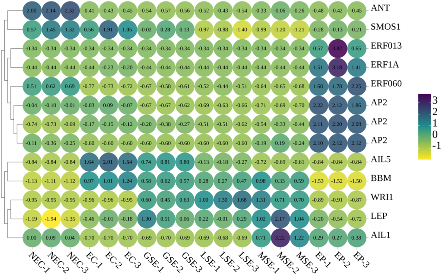 Heatmap displaying numerical data with values ranging from negative one to positive three, illustrated using a color scale from yellow to dark purple. Rows are labeled with genes such as ANT and SMOS1, while columns are labeled with categories like NEC-1 and MSE-2. Clusters are visually represented by circular nodes, highlighting value intensity.