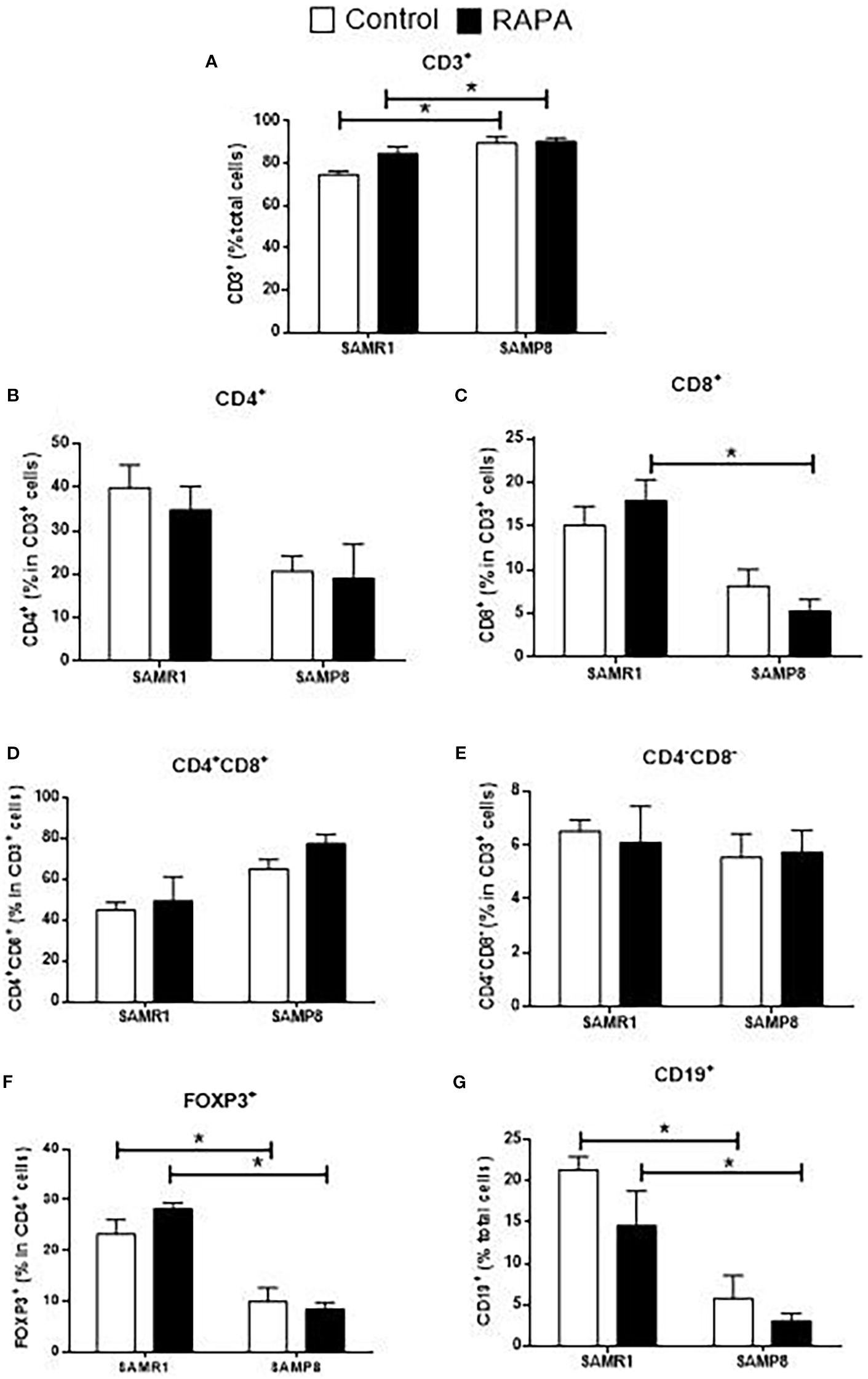 Bar graphs depicting immune cell subsets in SAMR1 and SAMP8 mice under Control and RAPA conditions. (A) CD3+, (B) CD4+, (C) CD8+, (D) CD4+CD8 +, (E) CD4-CD8-, (F) FOXP3+, and (G) CD19+. Significant differences are indicated by asterisks.