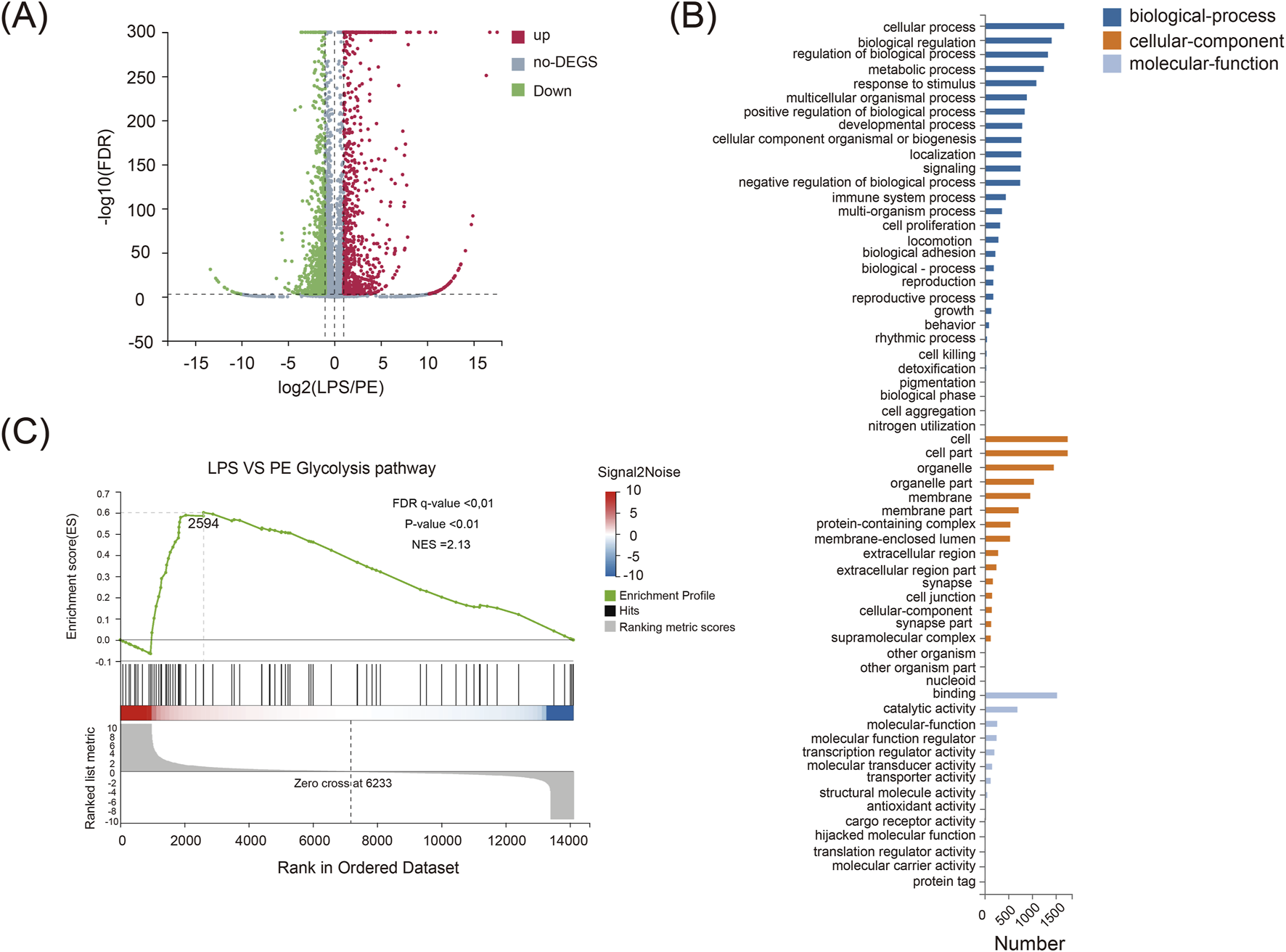 (A) A volcano plot showing gene expression changes, with red, blue, and green points indicating upregulated, no differential expression, and downregulated genes, respectively. (B) Bar chart categorizing gene ontology terms into biological processes, cellular components, and molecular functions, color-coded in blue, orange, and gray. (C) Enrichment plot for the LPS versus PE glycolysis pathway, presenting enrichment scores with key statistics: FDR q-value, p-value, and normalized enrichment score.