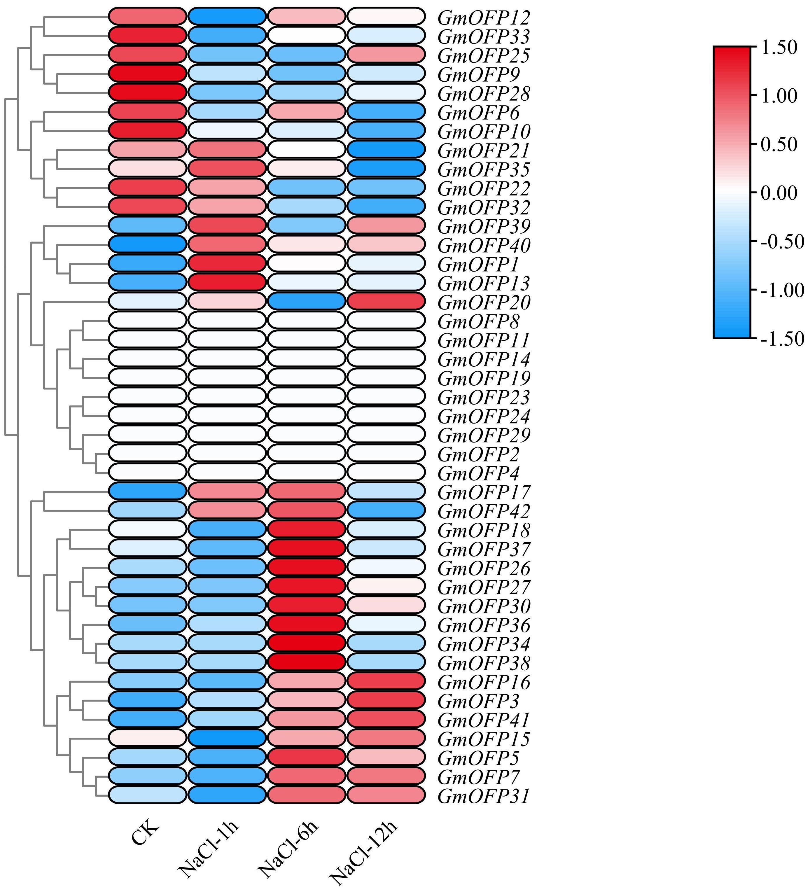 Hierarchical cluster heatmap showing the expression levels of various GmOFP genes under different conditions: CK, NaCl 1 hour, NaCl 6 hours, and NaCl 12 hours. Expression changes range from blue (downregulation) to red (upregulation) with a corresponding color scale indicating values from -1.50 to 1.50. Each row represents a gene, and dendrograms on the side indicate similarity in expression patterns.