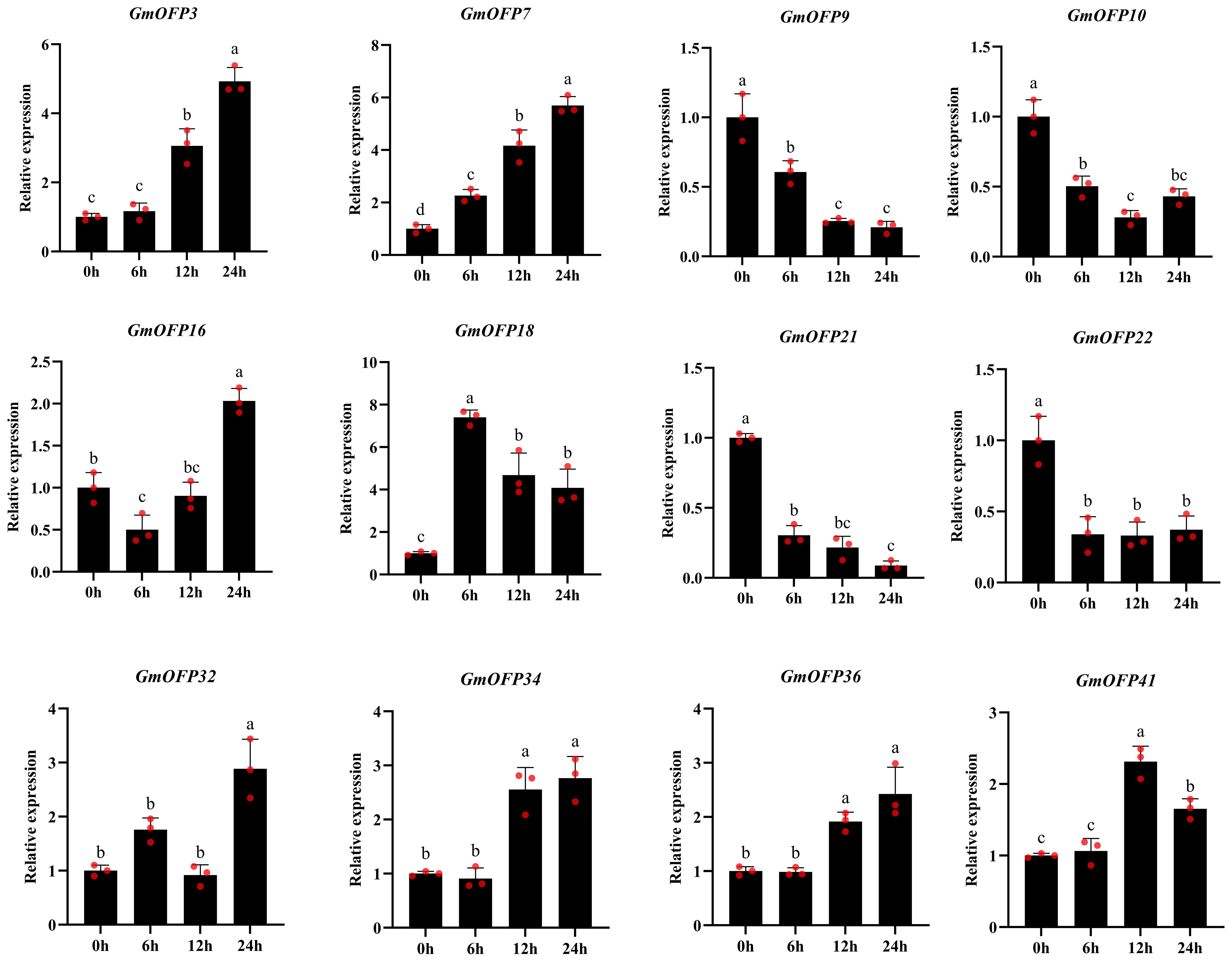 Bar charts showing relative expression levels of various GmOFP genes at different time intervals (0h, 6h, 12h, 24h). Each chart displays data for a specific gene, highlighting changes in expression over time with significant differences marked by letters.
