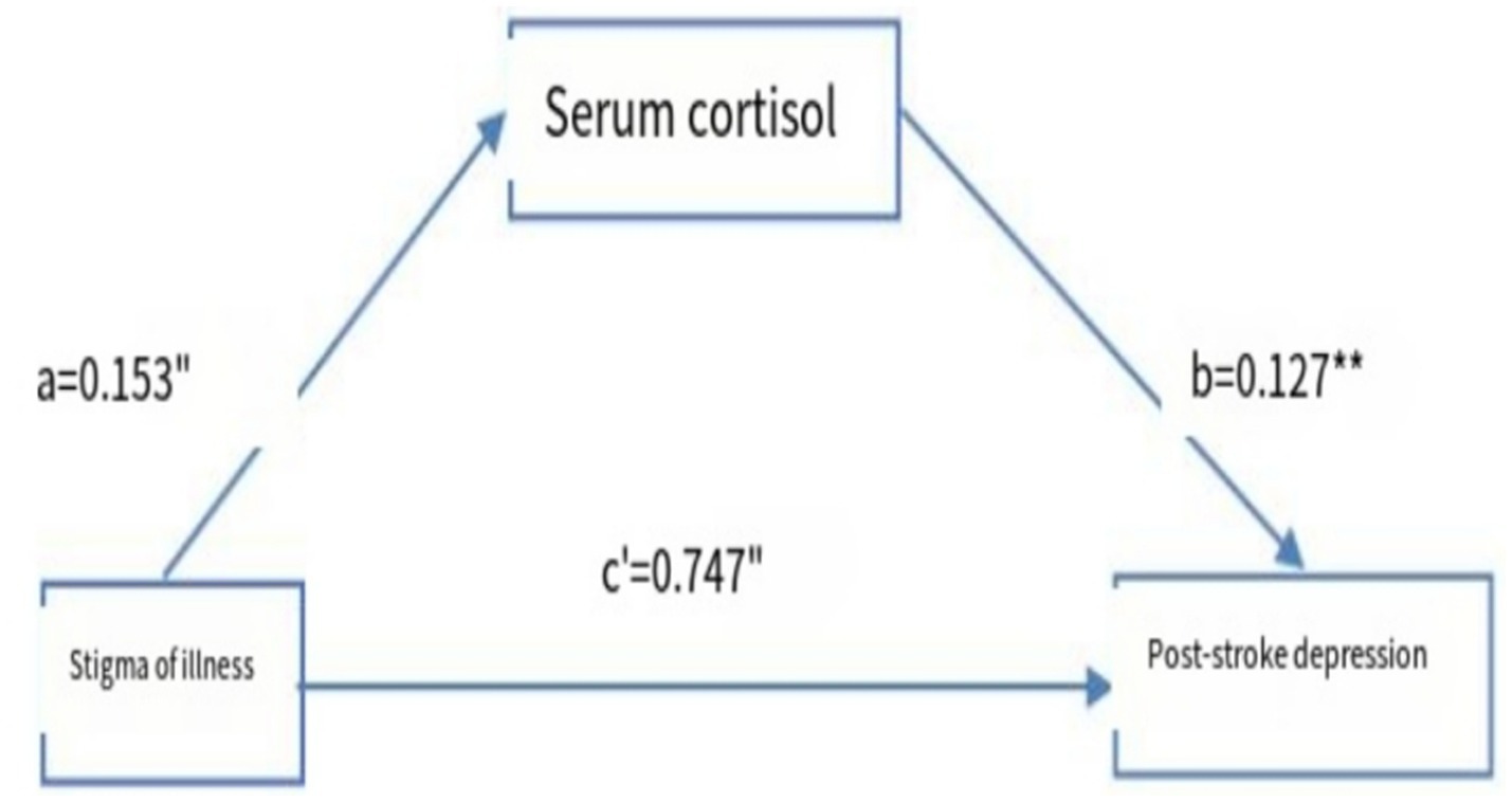 Flowchart depicting the relationship between stigma of illness, serum cortisol, and post-stroke depression. Arrows indicate pathways with coefficients: stigma of illness to serum cortisol (0.153), serum cortisol to post-stroke depression (0.127), and stigma of illness directly to post-stroke depression (0.747).