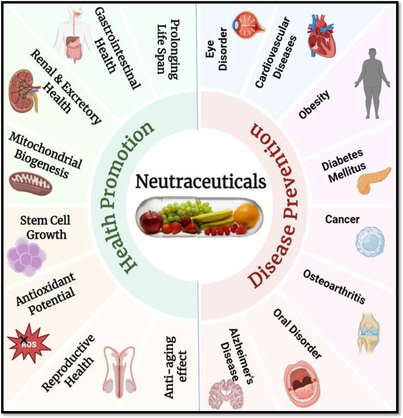 Chart illustrating the dual roles of nutraceuticals in health promotion and disease prevention. The left side lists benefits like gastrointestinal health, renal health, mitochondrial biogenesis, stem cell growth, antioxidant potential, reproductive health, and anti-aging effects. The right side shows disease prevention benefits including eye disorder, cardiovascular disease, obesity, diabetes, cancer, osteoarthritis, oral disorder, and Alzheimer's disease. Central image of a capsule filled with fruits and vegetables symbolizes nutraceuticals.