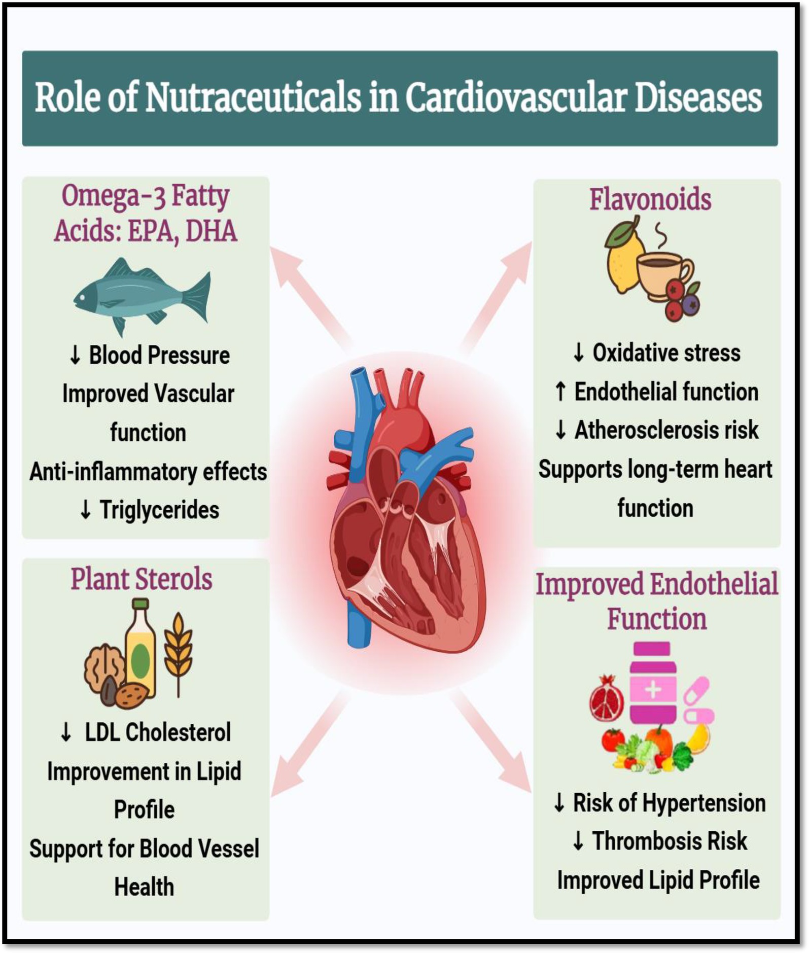 Graphic titled “Role of Nutraceuticals in Cardiovascular Diseases” with arrows pointing to a heart illustration, surrounded by four sections: Omega-3 Fatty Acids (EPA, DHA) which lower blood pressure and triglycerides; Flavonoids that reduce oxidative stress and atherosclerosis risk; Plant Sterols reducing LDL cholesterol and supporting blood vessel health; and Improved Endothelial Function decreasing hypertension risk and enhancing lipid profiles.