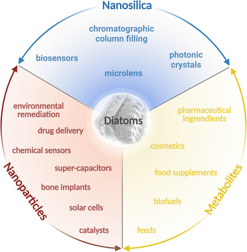 Diagram illustrating applications of diatoms, divided into three colored sections: blue for nanosilica, red for nanoparticles, and yellow for metabolites. Each section lists related uses such as biosensors, drug delivery, and cosmetics, with a central image of diatoms.