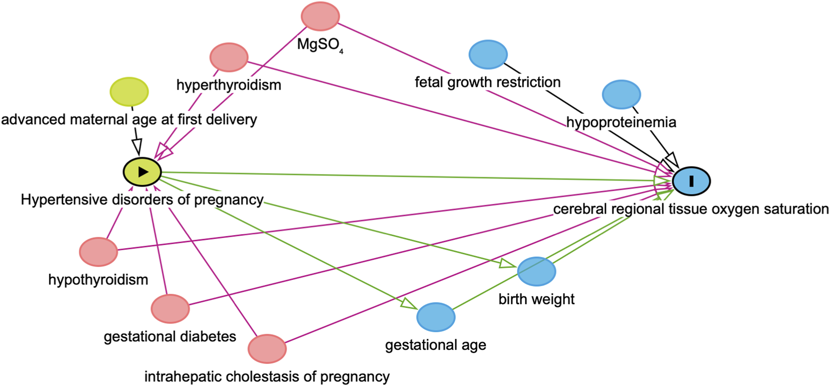 A network diagram showing the associations between various factors and cerebral regional tissue oxygen saturation. Factors include hypertensive disorders of pregnancy, advanced maternal age, hyperthyroidism, hypothyroidism, gestational diabetes, intrahepatic cholestasis of pregnancy, MgSO4, fetal growth restriction, hypoproteinemia, gestational age, and birth weight. Arrows indicate relationships, with different colors representing different types of connections.