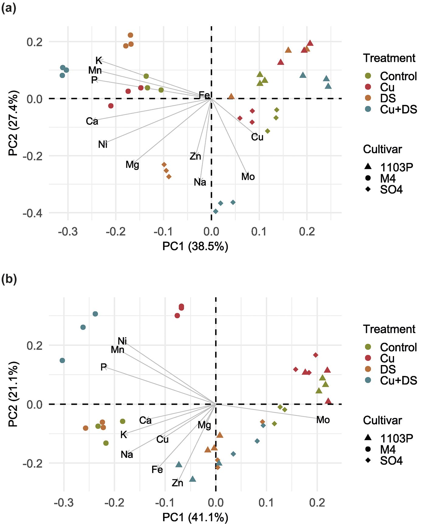 Principal Component Analysis (PCA) biplots displaying the influence of different treatments and cultivars on elemental composition. Plot (a) explains 38.5% and 27.4% of variance for PC1 and PC2, respectively. Plot (b) explains 41.1% and 21.1% of variance for PC1 and PC2. Different symbols represent cultivars: triangles for 1103P, circles for M4, and diamonds for SO4. The dots' colors indicate treatments: brown for Control, red for Cu, green for DS, and blue for Cu+DS. Lines point to elements like Fe, Cu, and Zn, indicating their contribution to PCs.