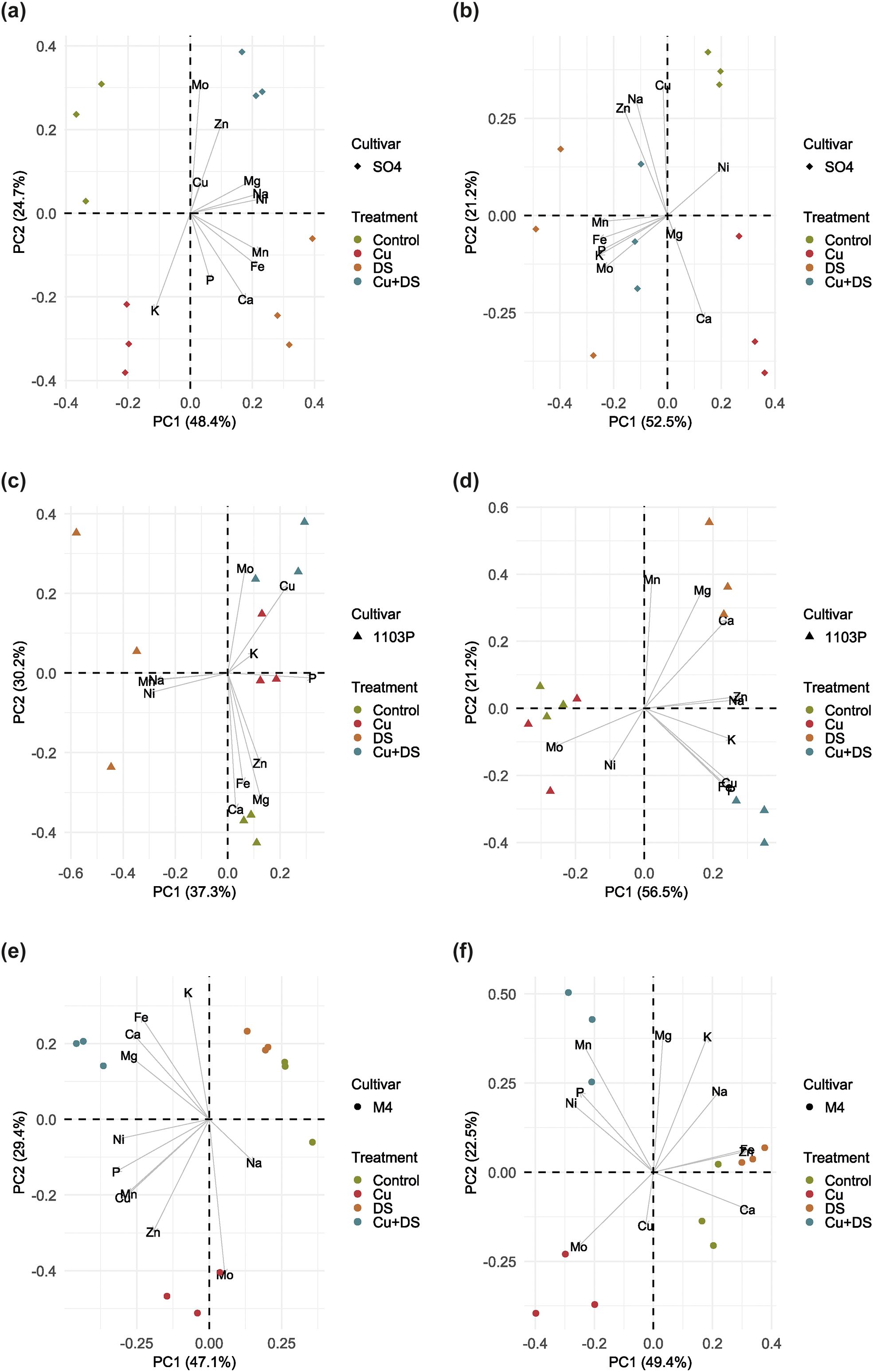 Six principal component analysis (PCA) plots illustrating nutrient variance for different cultivars and treatments. Panels (a) and (b) show cultivar SO4, (c) and (d) 1103P, and (e) and (f) M4. Plots feature vectors for nutrients like Cu, Zn, and Mg against PC1 and PC2 axes, indicating percentages of explained variance. Treatments are color-coded: green for Control, orange for Cu, red for DS, and blue for Cu+DS.