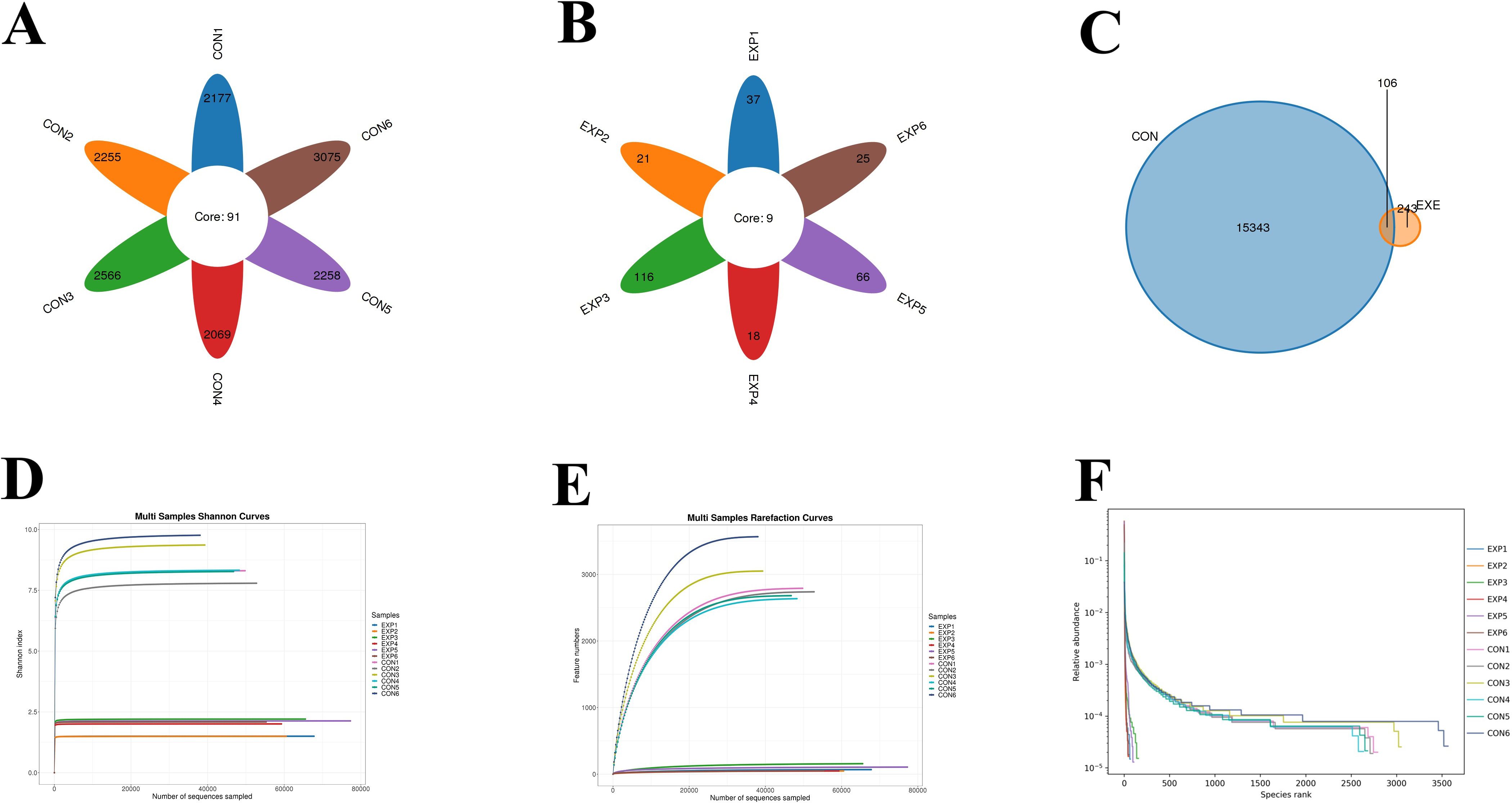 A shows a flower-shaped Venn diagram with six petals representing different control samples, totaling 9,010, with a core of 91. B displays a similar diagram for experimental samples, with the core at 9. C is a Venn diagram with a large blue circle (CON) and a small orange circle (EXE), showing significant overlap. D presents a multi-sample Shannon curves graph, illustrating diversity across samples by sequences. E is a multi-sample rarefaction curves graph, showing feature richness based on sequences sampled. F depicts a rank abundance curve, comparing species rank and relative abundance across samples.