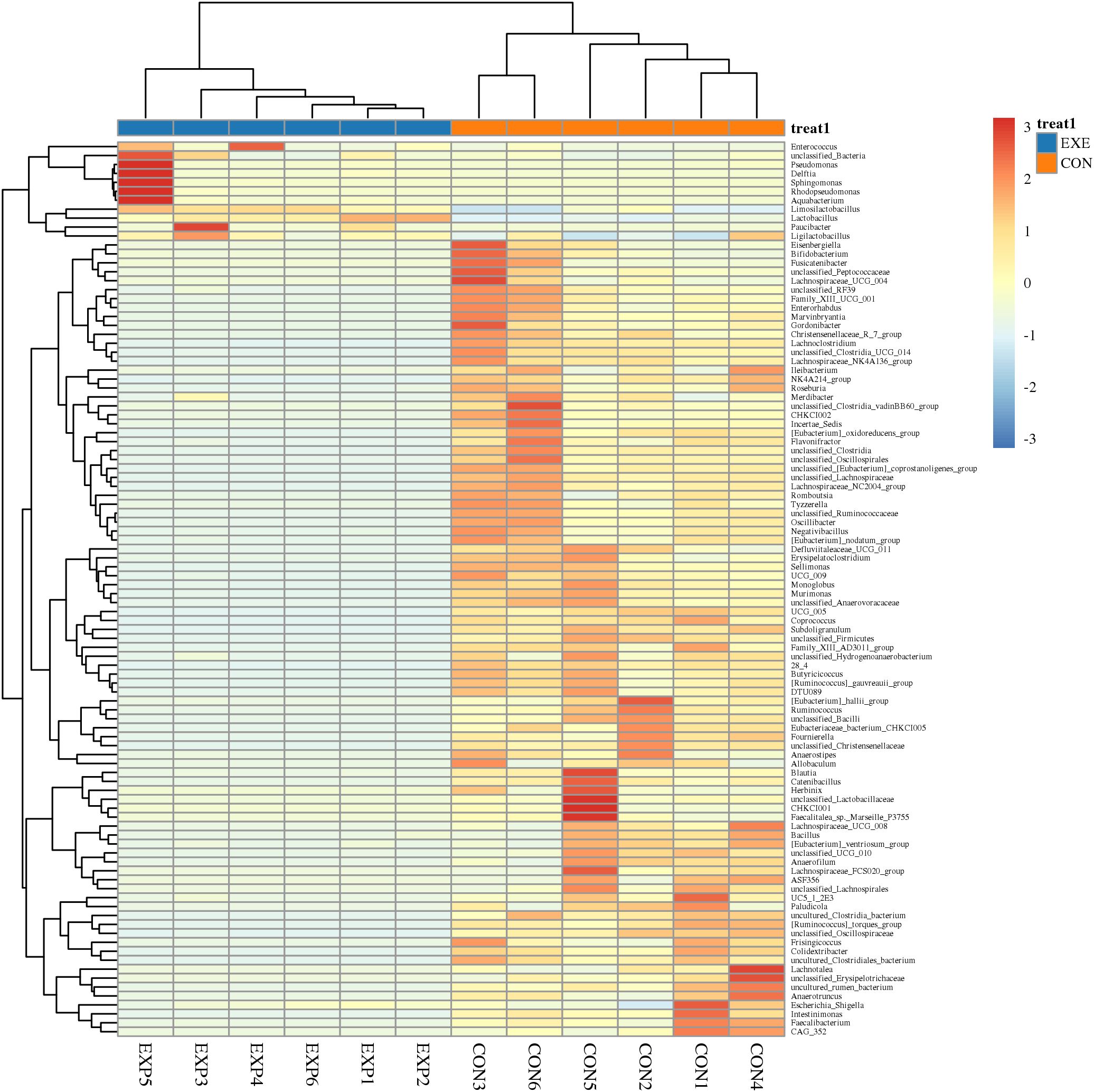 Heatmap showing hierarchical clustering of microbial taxa across samples EX1 to EX5 and CON1 to CON5. Colors range from blue to red, indicating values from -3 to 3, with blue representing lower values and red representing higher values. Annotations and a color scale are present on the right, with treatments EXE and CON indicated at the top.