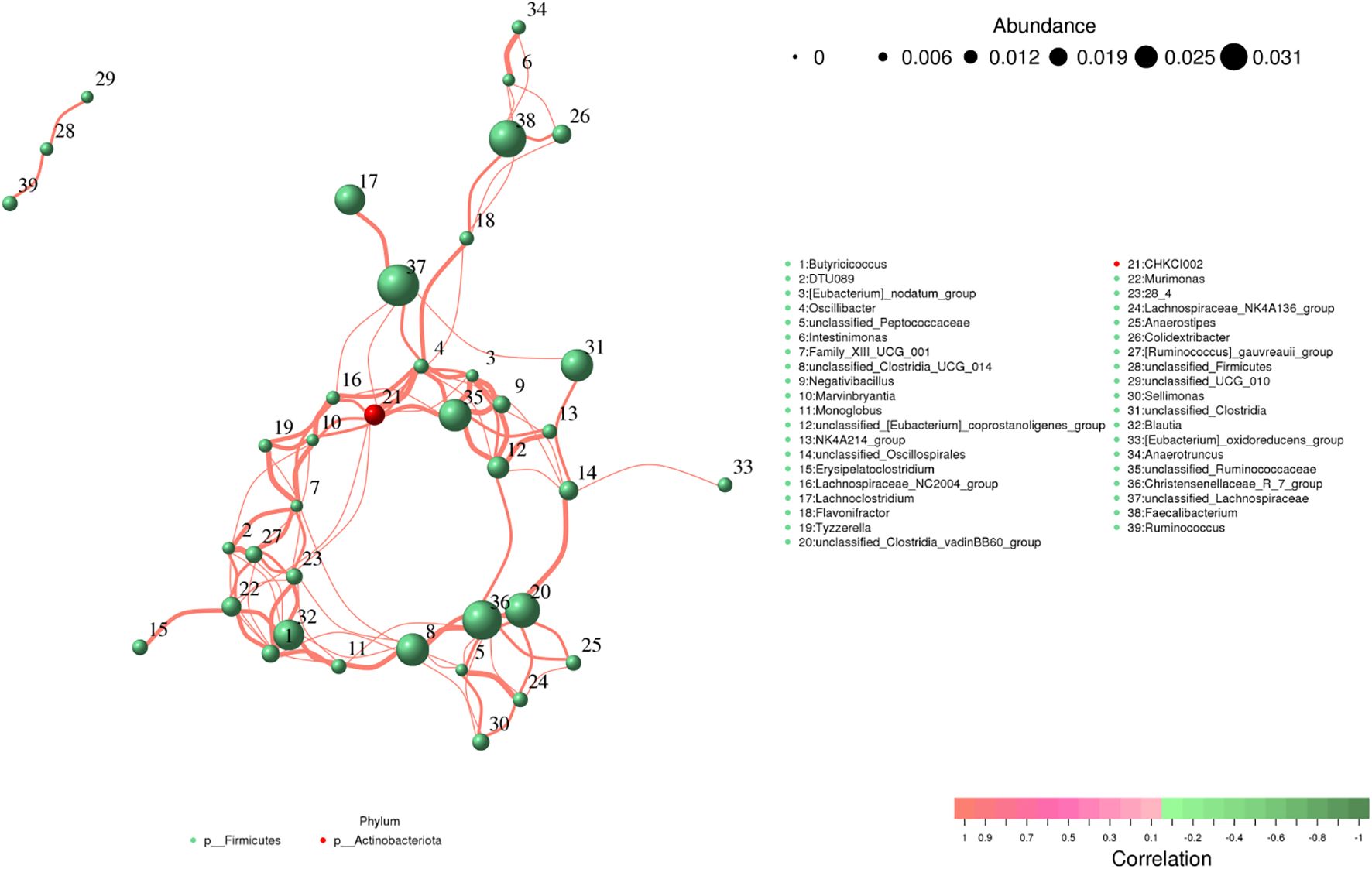 Network graph showing correlations between different microbial taxa marked by numbered nodes. Nodes vary in size based on abundance, with a color scale for correlation ranging from red to green. Taxa are listed on the right, grouped by phylum: Firmicutes (green) and Actinobacteriota (red). Lines connect nodes, indicating relationships.