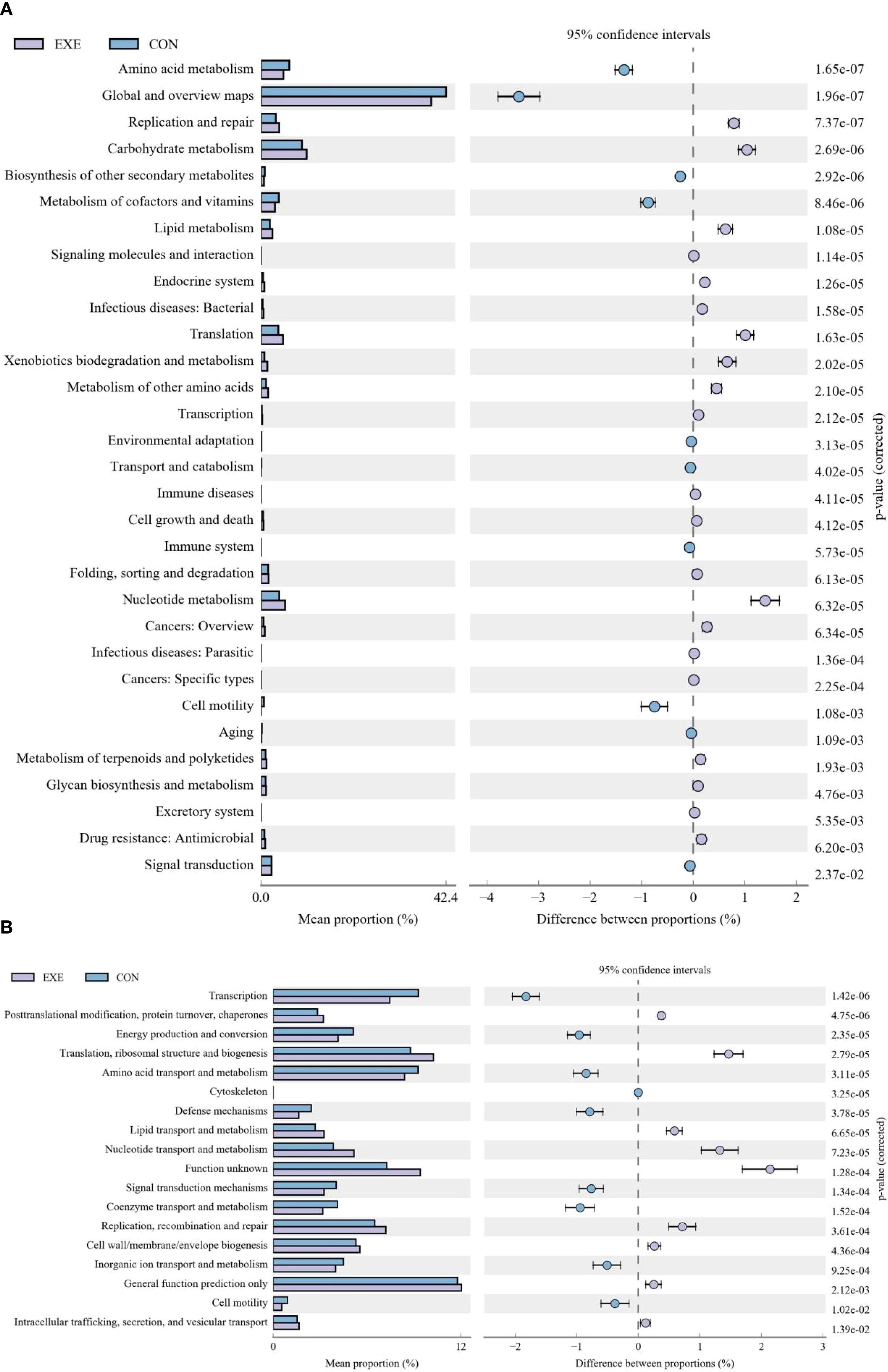 Two bar charts compare mean proportions and differences between proportions for various metabolic and biological functions, differentiated by exercise (EXE) and control (CON) groups. Panel A focuses on metabolism-related categories like amino acid metabolism and lipid metabolism, with statistical significance indicated by p-values. Panel B highlights processes such as transcription and energy production, providing mean proportions and differences, also with p-values for significance. Each chart includes 95% confidence intervals.