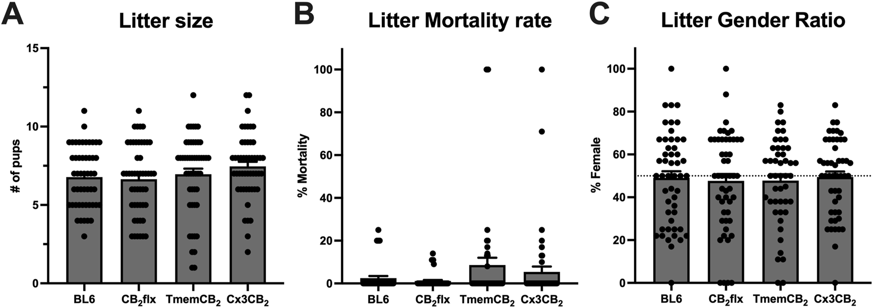 Three graphs compare different characteristics among four groups: BL6, CB₂flx, TmemCB₂, and Cx3CB₂. Graph A shows litter size. Graph B depicts litter mortality rate, where mortality is low across all groups. Graph C illustrates litter gender ratio, with all groups showing a similar percentage of female pups, mostly falling around fifty percent.