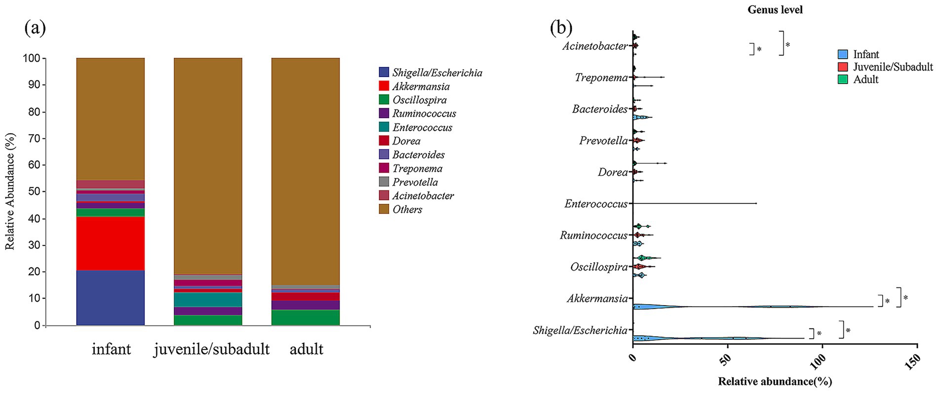 Bar and dot charts illustrate relative abundance of various bacterial genera across infant, juvenile, and adult stages. Chart (a) shows stacked bar distributions with