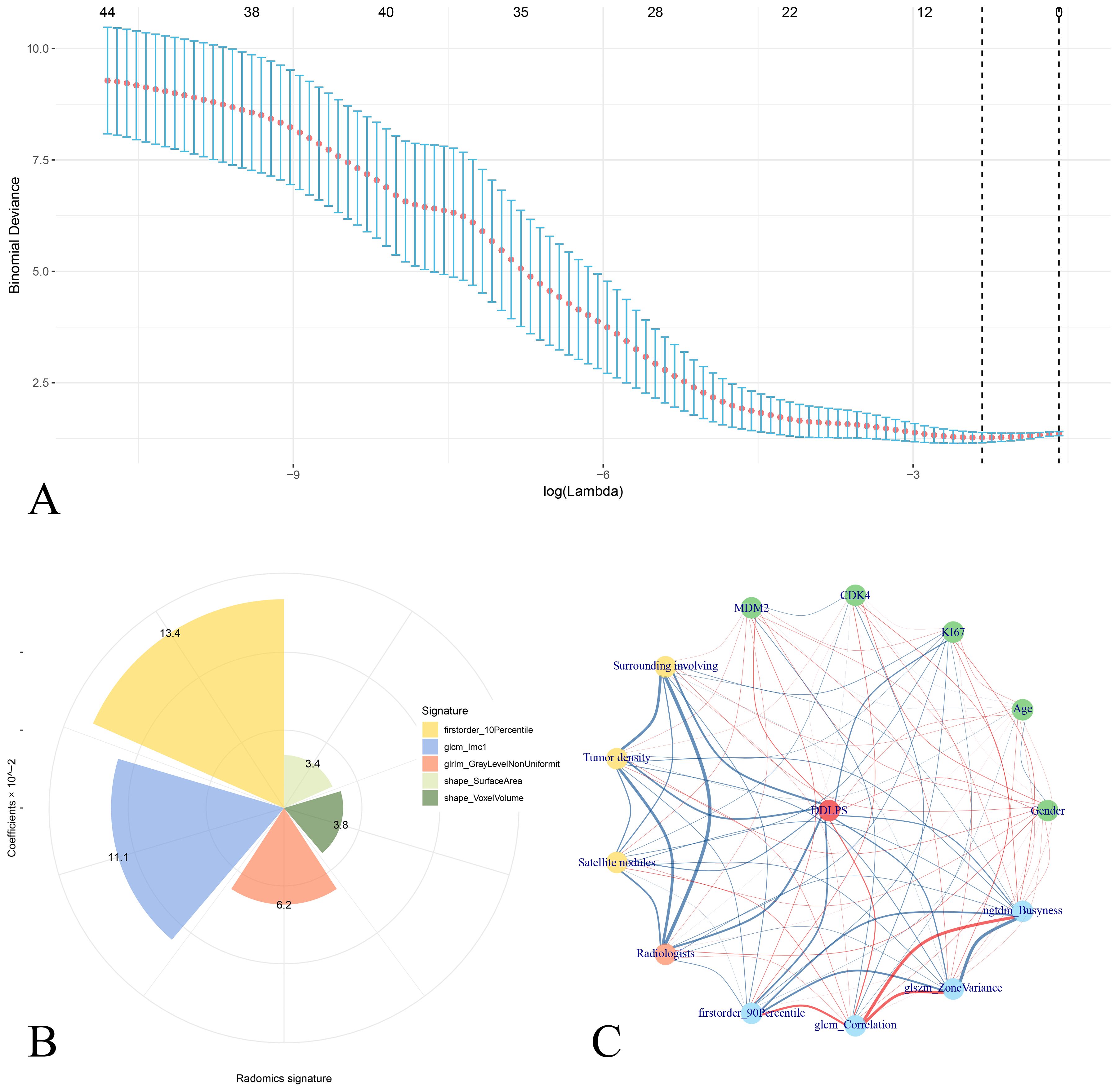Panel A shows a line graph of binomial deviance versus log(Lambda), with error bars indicating variability. Panel B is a radial chart displaying coefficients of radiomics signatures with different color segments. Panel C illustrates a network diagram with interconnected nodes labeled with various factors, showing relationships with lines.