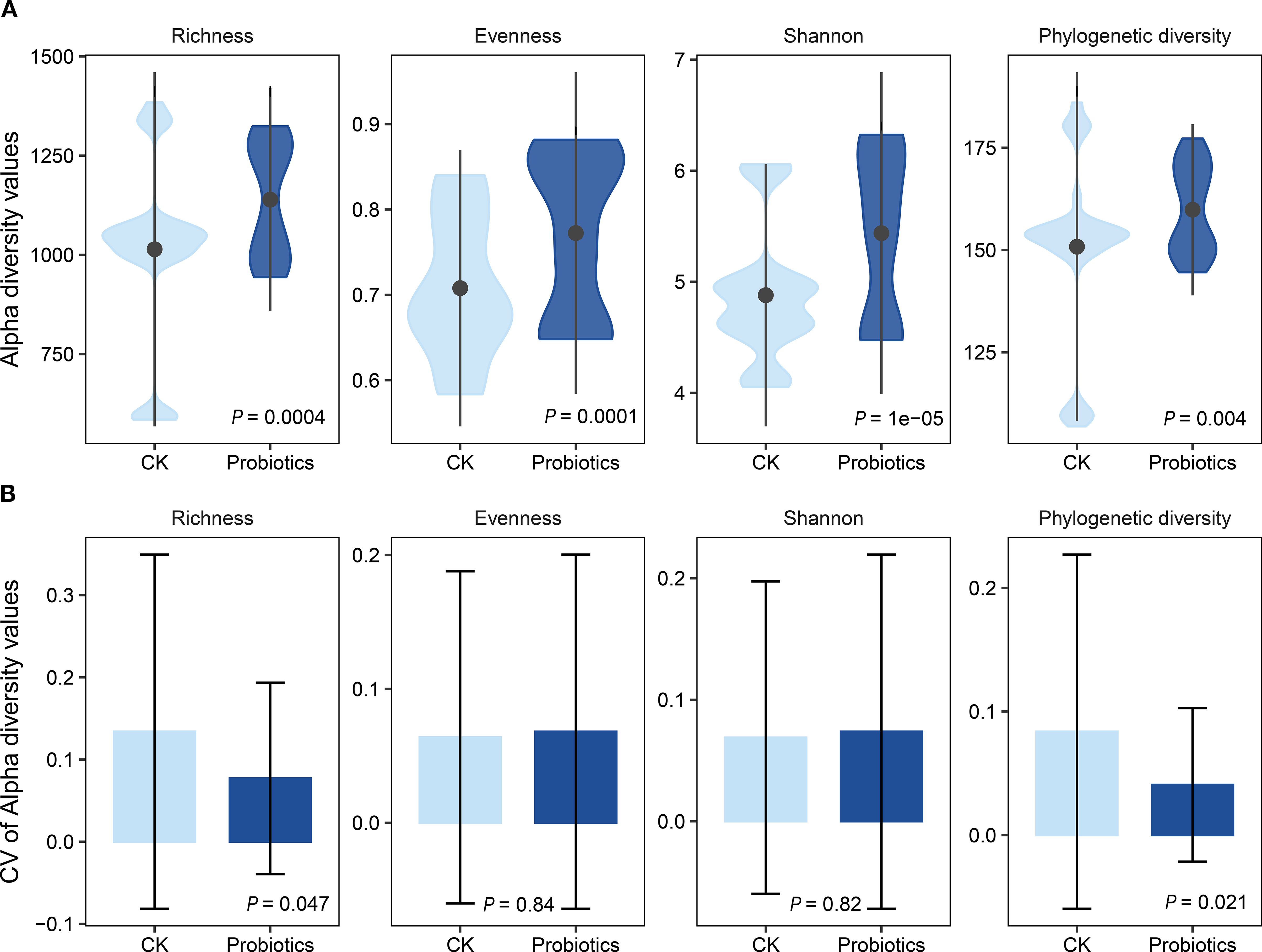 Violin and bar plots showing alpha diversity metrics comparing CK and probiotics. Panel A: Violin plots for richness, evenness, Shannon, and phylogenetic diversity values, with p-values indicating significant differences. Panel B: Bar plots for the coefficient of variation (CV) of the same metrics, with p-values showing significance for richness and phylogenetic diversity. Probiotics generally show higher values across metrics compared to CK.