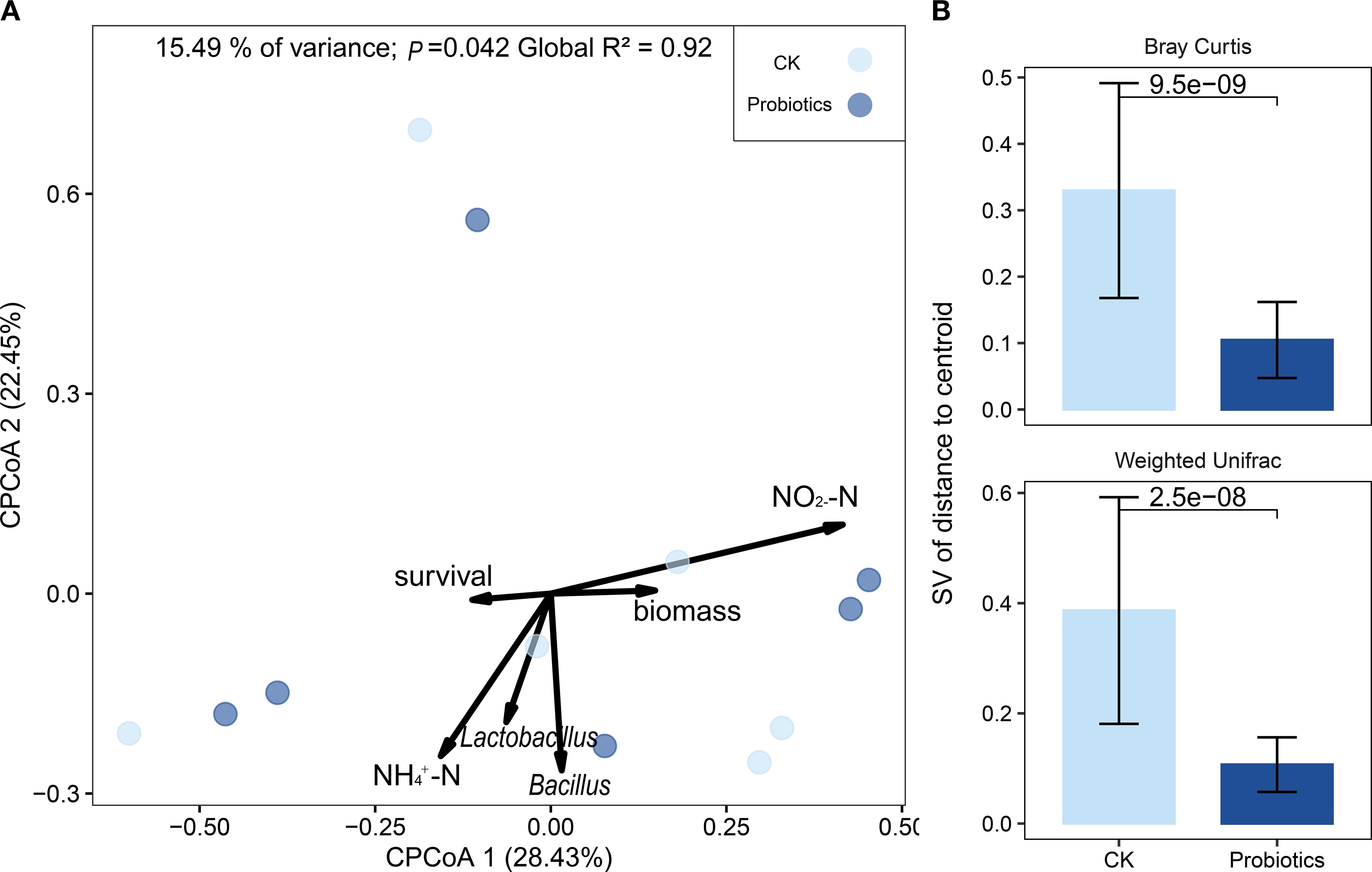 Scatter plot and bar charts showing microbial community analysis. Panel A depicts a PCoA plot with CK and Probiotics groups, showing variance explained and significant factors. Panel B shows bar charts of Bray Curtis and Weighted Unifrac distances, indicating a lower centroid distance in the Probiotics group, with p-values provided.