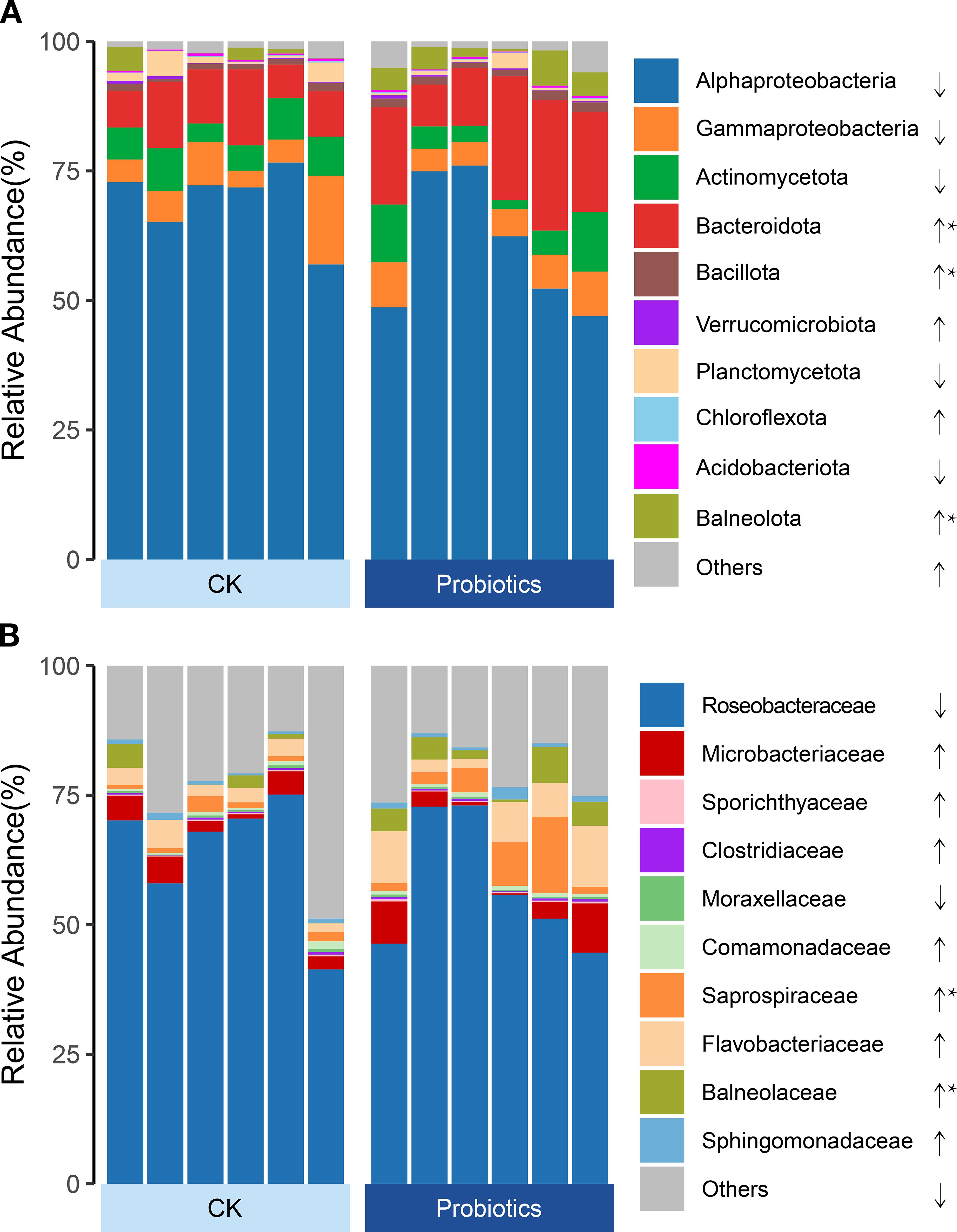 Bar charts display the relative abundance of microbial families in two conditions: CK and Probiotics. Chart A shows various bacterial phyla, with notable increases in Bacteroidota and Chloroflexota in Probiotics. Chart B presents different bacterial families, highlighting increased abundance in Microbacteriaceae and Clostridiaceae under Probiotics. Arrows indicate changes in abundance.