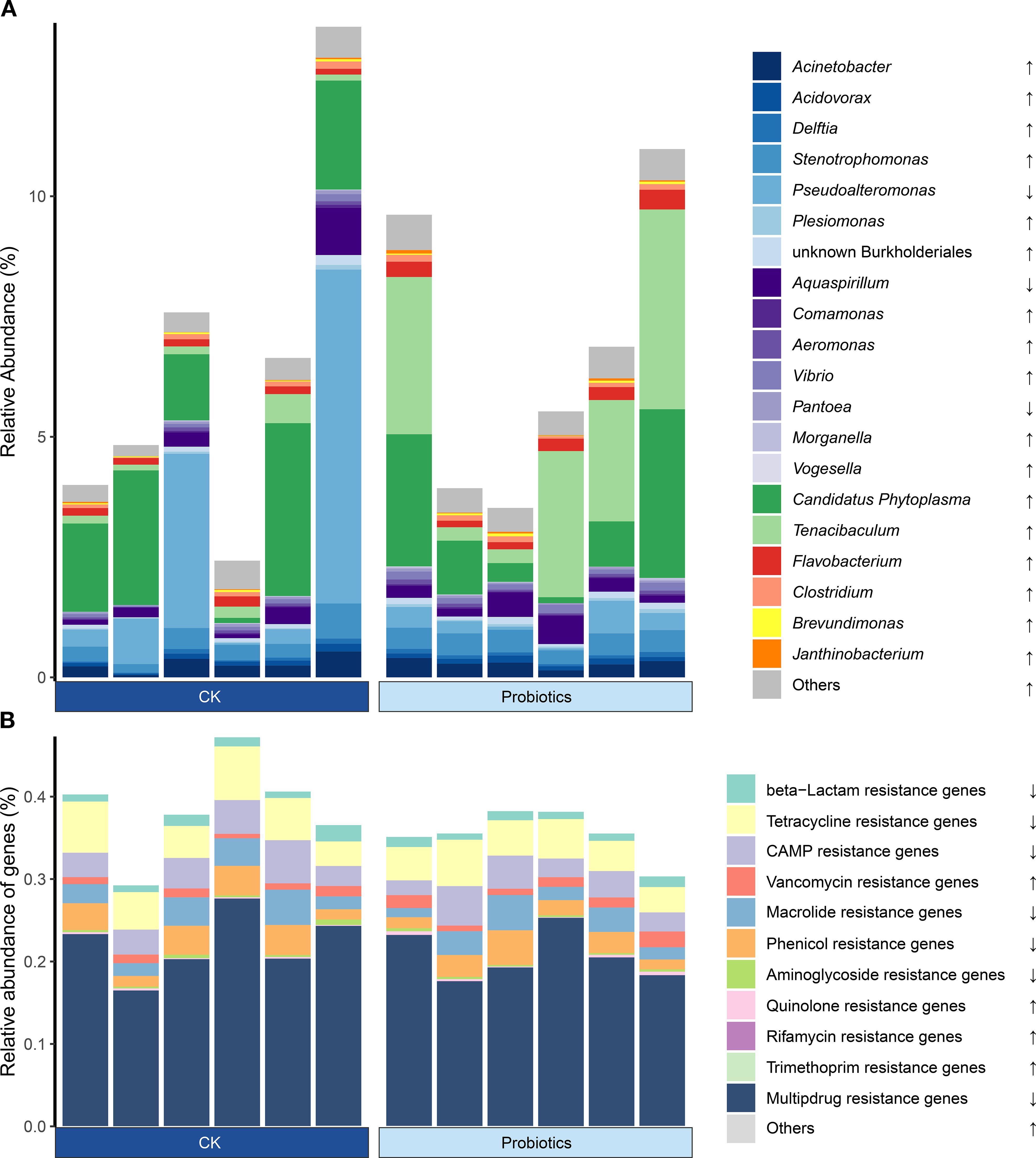 Bar chart comparing the relative abundance of different bacterial genera and resistance genes between CK and Probiotics groups. Panel A displays bacterial genera, showing an increase primarily in *Candidatus Phytoplasma* and *Tenacibaculum* in the Probiotics group. Panel B presents the relative abundance of resistance genes, with notable differences in beta-lactam and tetracycline resistance genes. Arrows indicate an increase or decrease in abundance.