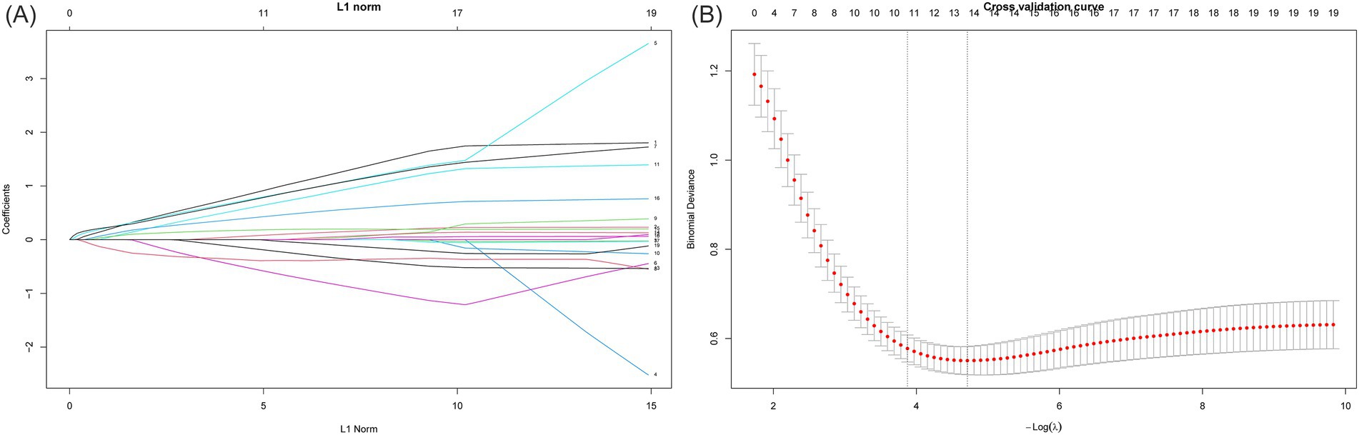 Image showing two graphs related to statistical analysis using the Lasso regression technique. Panel A depicts a plot of coefficients versus L1 norm, showing multiple lines for different variables, with values ranging from negative to positive. Panel B is a plot of binomial deviance versus negative log of lambda. Red dots indicate the deviance values, decreasing initially and stabilizing, surrounded by error bars. The curve illustrates the model's cross-validation results.