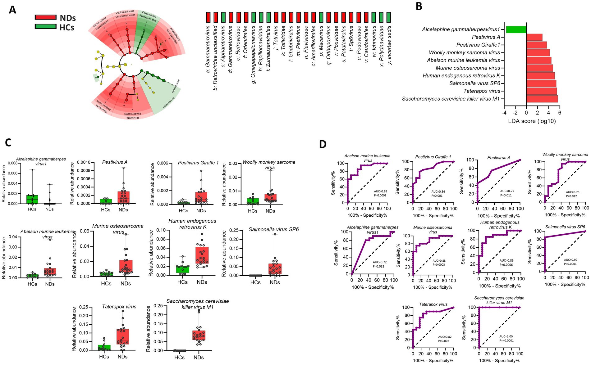 A set of graphical data visualizations is presented across four panels, labeled A, B, C, and D. Panel A features a circular phylogenetic tree, indicating virus families with red and green segments representing different groups. Panel B displays a bar chart of LDA scores, contrasting two groups of samples with one dominant green bar. Panel C includes multiple box plots showing the relative abundance of various viruses between two groups labeled HCs and NDs. Panel D presents ROC curves for different viruses, illustrating sensitivity and specificity.