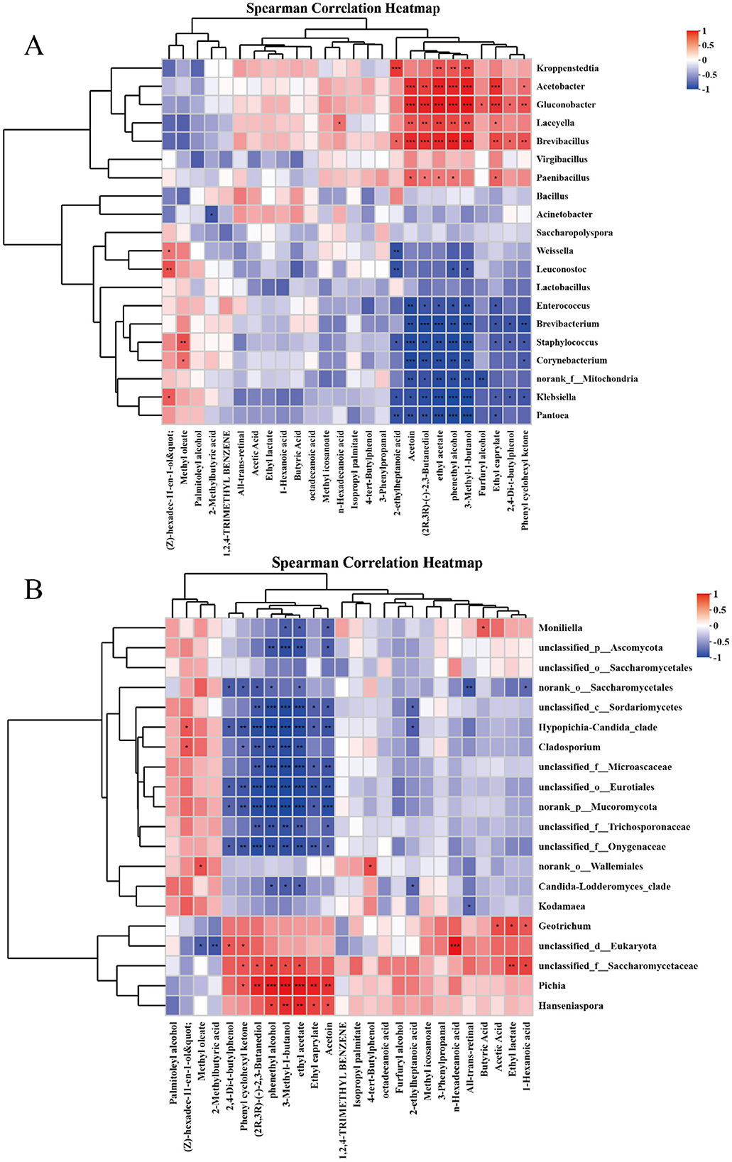 Heatmaps labeled A and B show Spearman correlation coefficients between microbial genera and chemical compounds. The color gradient ranges from red to blue, representing a scale from one to negative one. Red indicates positive correlation, while blue indicates negative correlation. Dendrograms along the axes show hierarchical clustering of the variables.