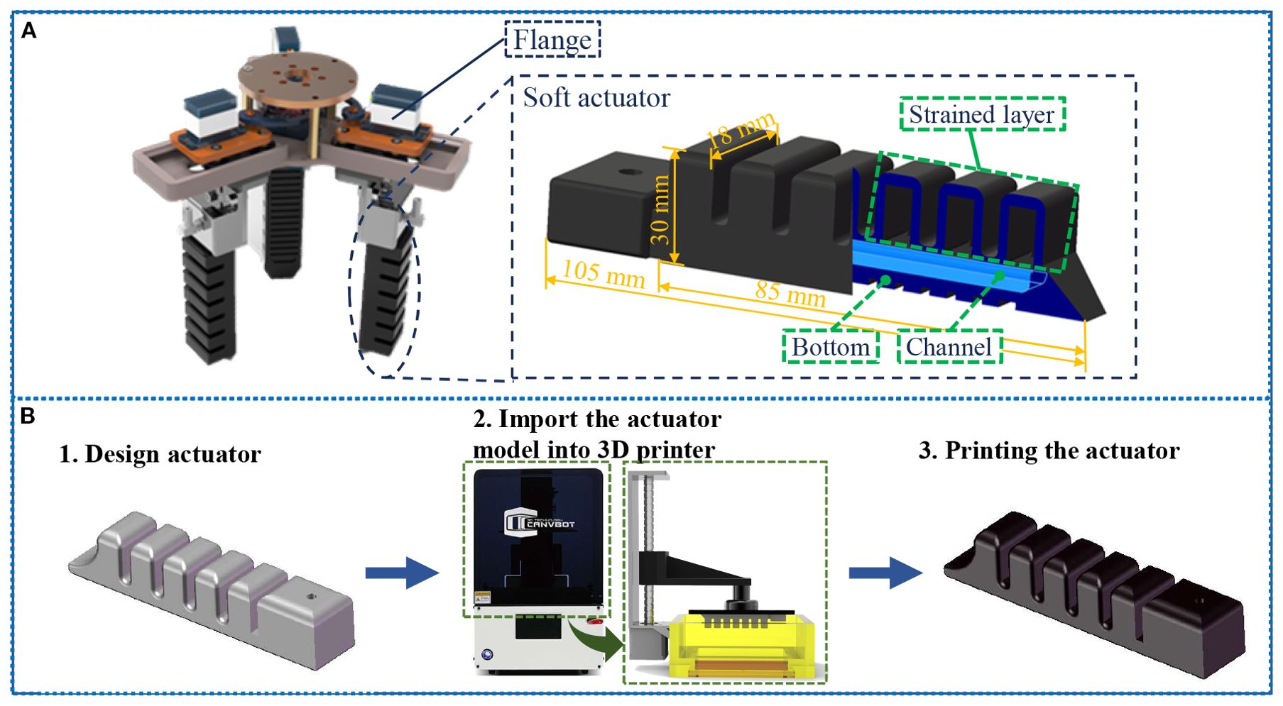 Diagram showcasing the design and fabrication process of a soft actuator. Panel A illustrates the actuator attached to a flange, highlighting dimensions and components such as the strained layer, bottom, and channel. Panel B outlines steps for creating the actuator: 1. Design actuator model, 2. Import model into a 3D printer, 3. Successfully print the actuator.