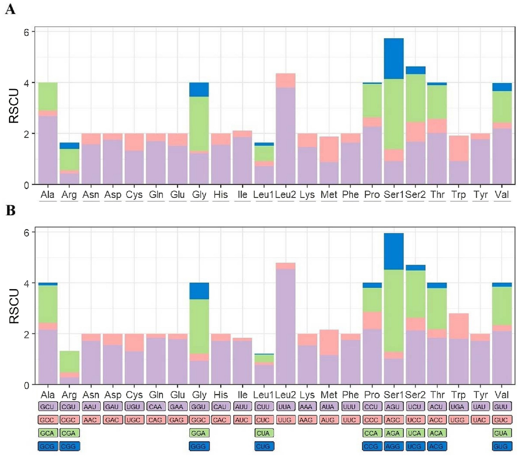 Two bar charts labeled A and B show Relative Synonymous Codon Usage (RSCU) across amino acids. Each bar is divided into colored segments representing different codons. The chart includes amino acids like Ala, Arg, and Ser. The RSCU values range from zero to six. The codon legend is provided below each chart, indicating types such as green, pink, purple, and blue codons for each amino acid.