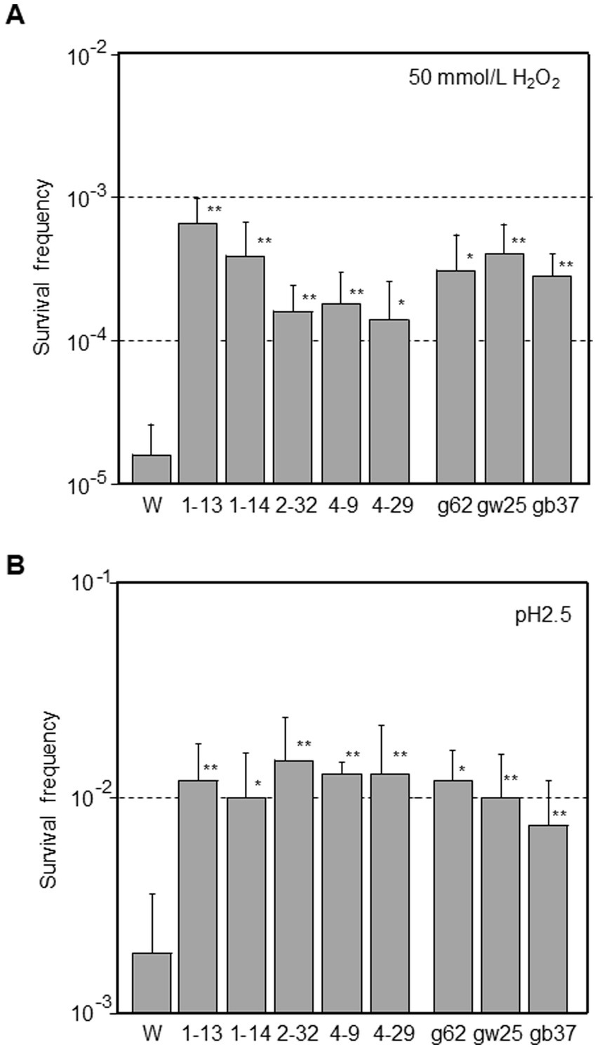 Bar charts labeled A and B show survival frequencies under different conditions. Chart A, labeled
