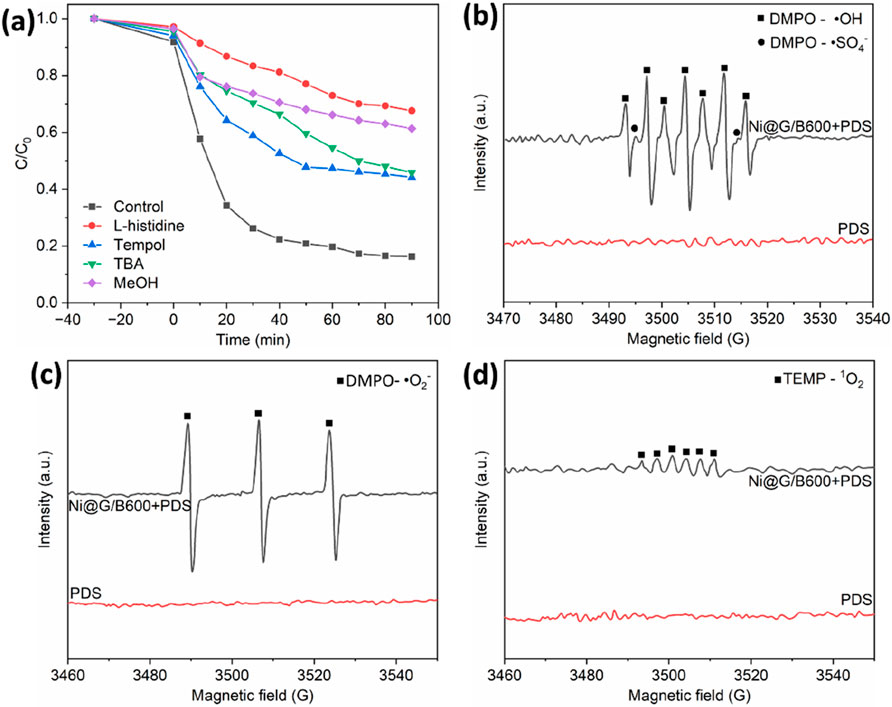 (a) Line graph showing concentration (C/C₀) over time for Control, L-histidine, Tempol, TBA, and MeOH. (b-d) EPR spectra displaying intensity versus magnetic field for different radicals: DMPO-•OH, DMPO-•SO₄⁻, DMPO-•O₂⁻, and TEMP-•¹O₂, with Ni@G/B600+PDS compared to PDS alone.