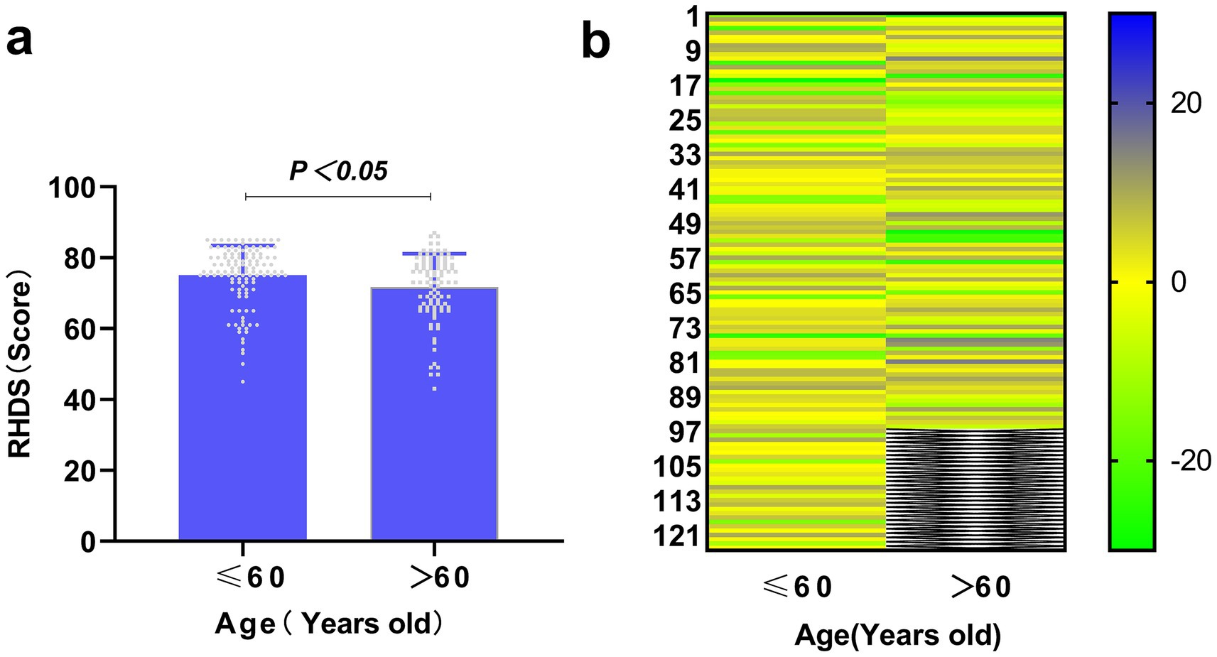 Graphical data showing age-related trends. Panel a illustrates a bar graph comparing RHDS scores for individuals aged 60 and below versus those over 60, with a significant difference (p < 0.05). Panel b shows a heatmap, indicating data values by color gradients from blue to yellow to green, aligned with age groups, and a color bar representing score ranges.