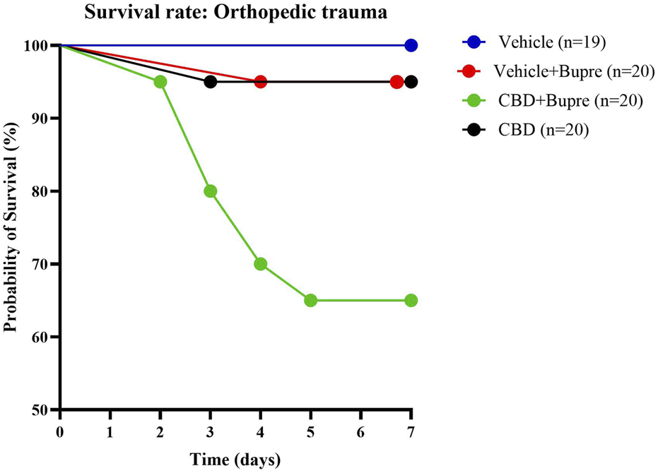 Survival rate graph for orthopedic trauma over seven days shows four lines: Vehicle (blue, n=19) remains constant at 100%, Vehicle+Buprenorphine (red, n=20) slightly decreases, CBD+Buprenorphine (green, n=20) decreases to about 70%, and CBD (black, n=20) slightly decreases.