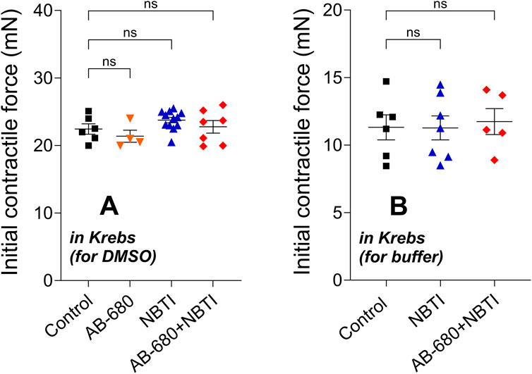 Two scatter plots compare initial contractile force in millinewtons for different conditions. Plot A shows results for DMSO, and Plot B for buffer. Each includes control, AB-680, NBTI, and AB-680 plus NBTI groups, with no significant differences noted among groups. Data points are represented by different colored shapes, and error bars are present.