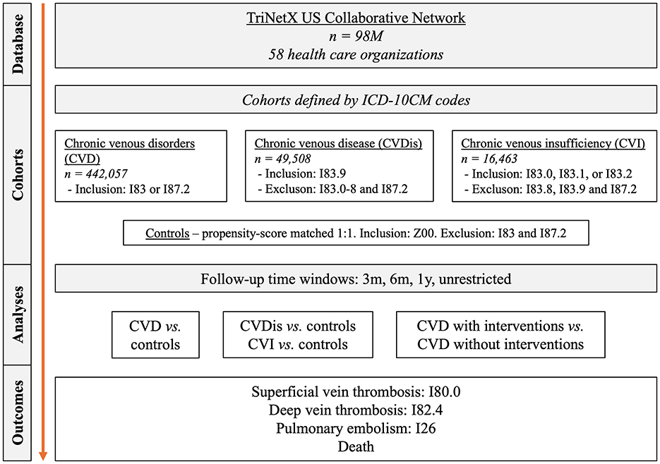 Flowchart describing the TriNetX US Collaborative Network study design. The database includes ninety-eight million patients from fifty-eight health care organizations. Cohorts are defined by ICD-10 codes: Chronic Venous Disorders (CVD), Chronic Venous Disease (CVDis), and Chronic Venous Insufficiency (CVI), with specific inclusion and exclusion criteria. Controls are matched 1:1 by propensity score. Follow-up time windows are three months, six months, one year, and unrestricted. Analyses compare CVD, CVDis, CVI with controls and CVD with or without interventions. Outcomes measured include superficial vein thrombosis, deep vein thrombosis, pulmonary embolism, and death.