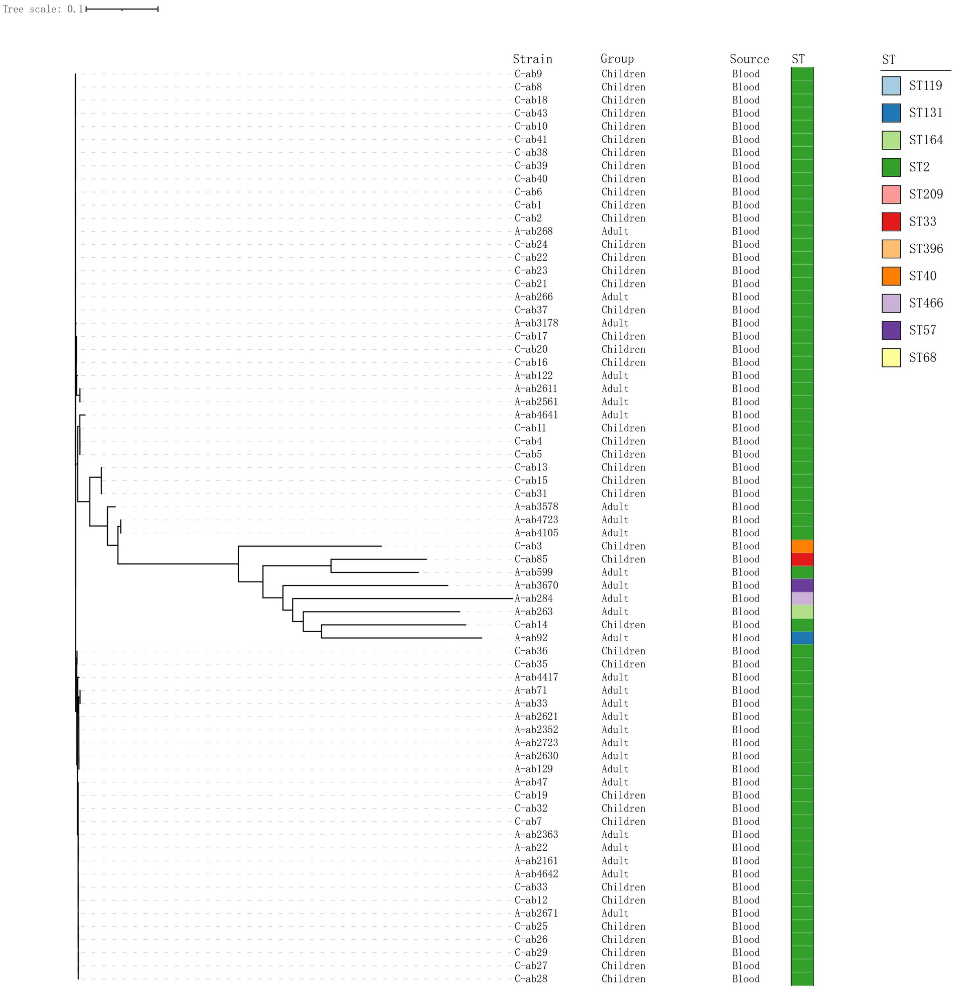 Phylogenetic tree showing strain relationships, categorized by group (Children, Adult), and source (Blood). A color-coded column representing sequence types (ST119, ST131, ST164, ST2, ST209, ST33, ST396, ST40, ST466, ST57, ST68, ST-) is included to the right.