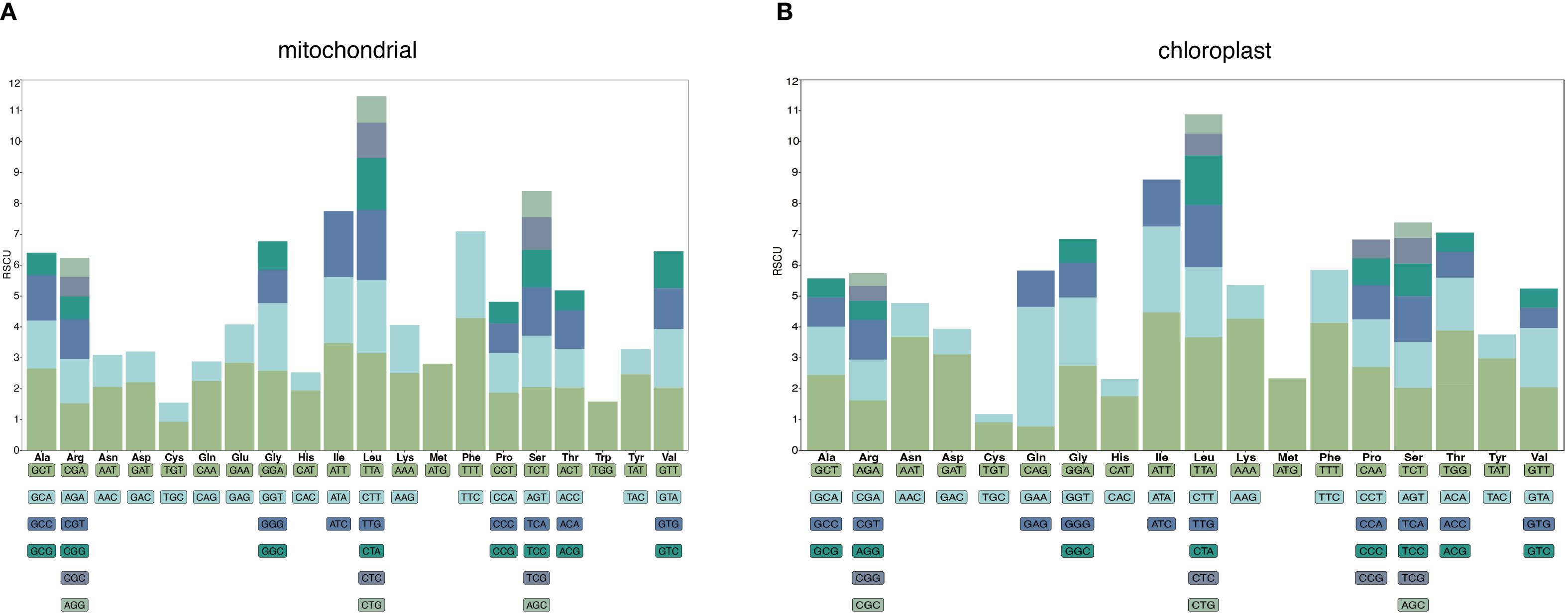 Bar charts labeled A and B compare the relative synonymous codon usage (RSCU) in mitochondria and chloroplasts. Each chart shows codon frequency for various amino acids, depicted in colored stacked bars. Labels include amino acids like Ala, Arg, and Gly. The x-axis presents amino acids and codons, while the y-axis represents RSCU values ranging from 0 to 12.