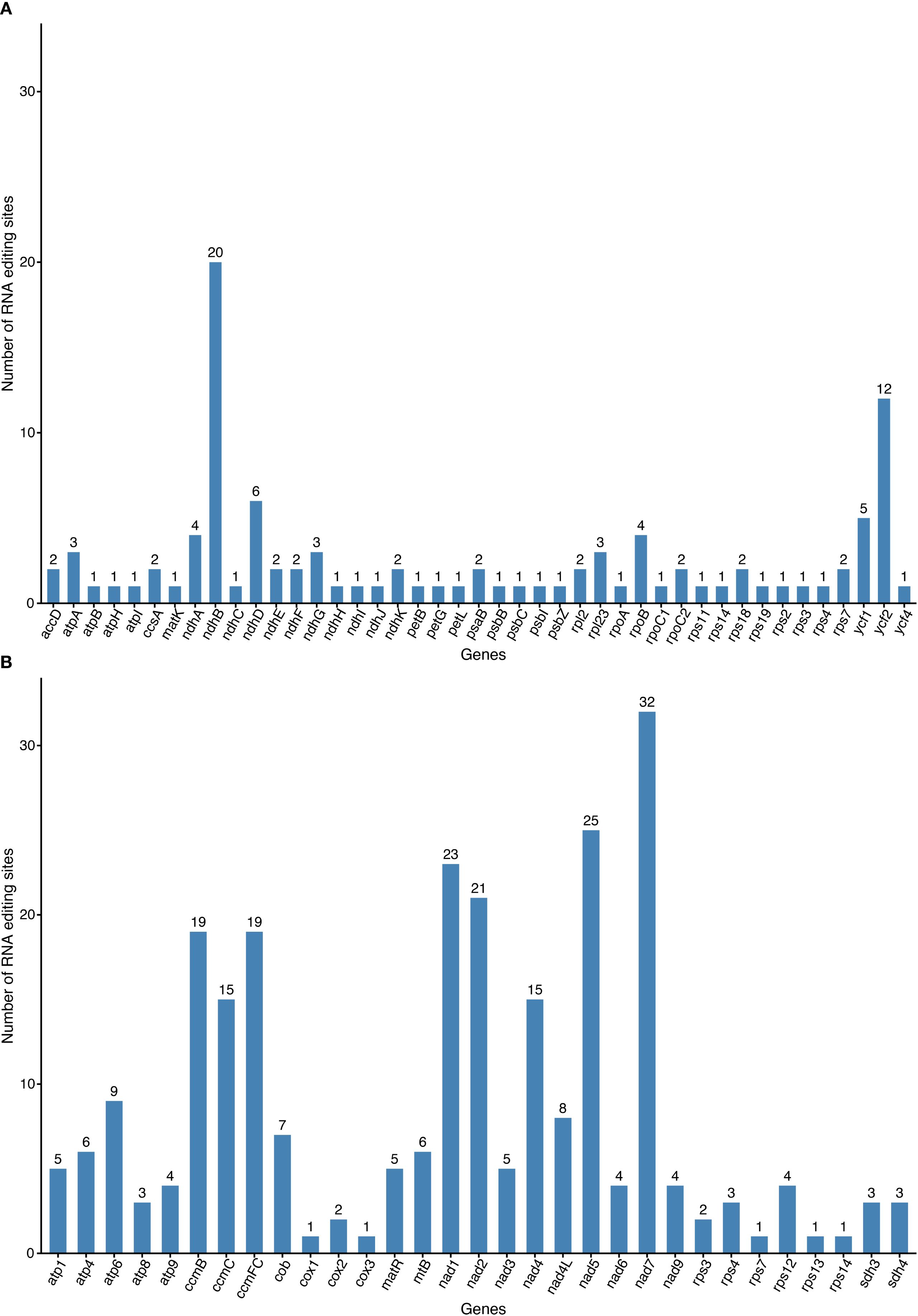Two bar charts display the number of RNA editing sites for different genes. Chart A shows editing sites across various genes, with notable peaks at ndhB (20) and ycf1 (12). Chart B highlights high editing numbers at nad4 (32), ccmB (19), and nad5 (25). Both charts emphasize the variability of RNA editing across genes.