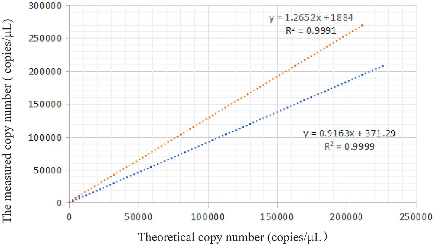 Scatter plot with two data series showing the relationship between theoretical and measured copy numbers (in copies per microliter). The orange line represents the equation y = 1.2652x + 1884 with an R-squared value of 0.9991. The blue line represents the equation y = 0.9163x + 371.29 with an R-squared value of 0.9999. Both lines display strong linear correlations.