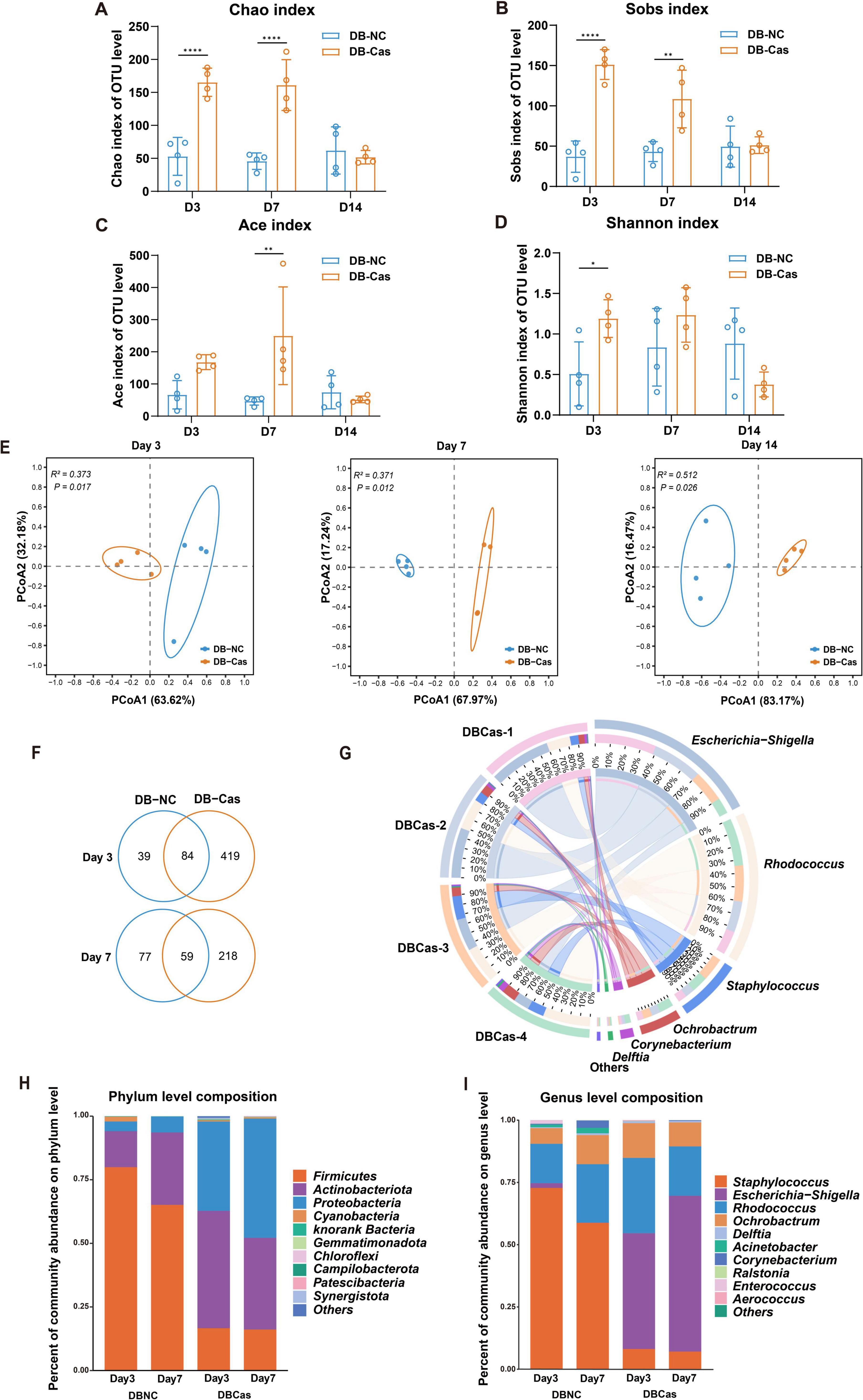 Bar graphs A-D depict Chao, Sobs, Ace, and Shannon indices comparing microbial diversity between DB-NC and DB-Cas groups over days 3, 7, and 14. Plot E shows Principal Coordinates Analysis (PCoA) with separation of the groups. F is a Venn diagram showing shared operational taxonomic units (OTUs) between groups on days 3 and 7. G illustrates a circular chart of microbial interactions by genus. H and I are bar graphs showing microbiome composition at the phylum and genus levels across days 3 and 7 for DB-NC and DB-Cas groups.