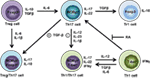 www.frontiersin.org