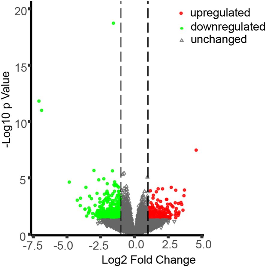 Volcano plot showing gene expression changes with Log2 Fold Change on the x-axis and -Log10 p-value on the y-axis. Red dots indicate upregulated genes, green dots indicate downregulated genes, and gray triangles show unchanged genes. Dotted lines mark threshold boundaries for significance.
