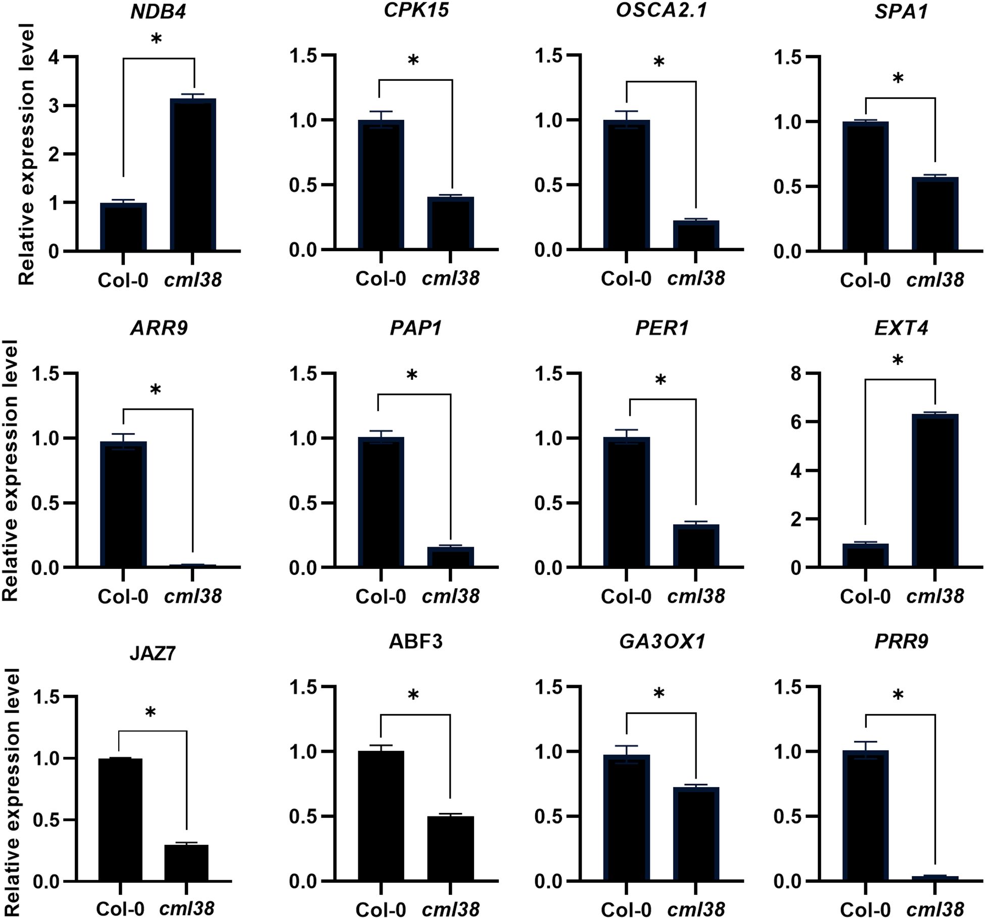 Bar graphs showing relative expression levels of various genes in Col-0 and cml38. Genes include NDB4, CPK15, OSCA2.1, SPA1, ARR9, PAP1, PER1, EXT4, JAZ7, ABF3, GA3OX1, and PRR9. Notable differences are marked with asterisks, indicating significant expression changes between Col-0 and cml38 across most genes, with either an increase or decrease in expression in cml38 compared to Col-0.