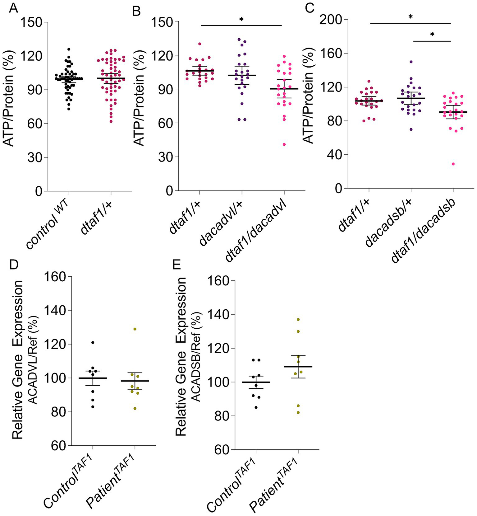 Graphs display ATP/Protein and gene expression levels. Panels A, B, and C show ATP/Protein for different genetic mutations with significant differences marked. Panels D and E depict relative gene expression of ACADVL and ACADSB in control versus patient groups, with means and error bars.