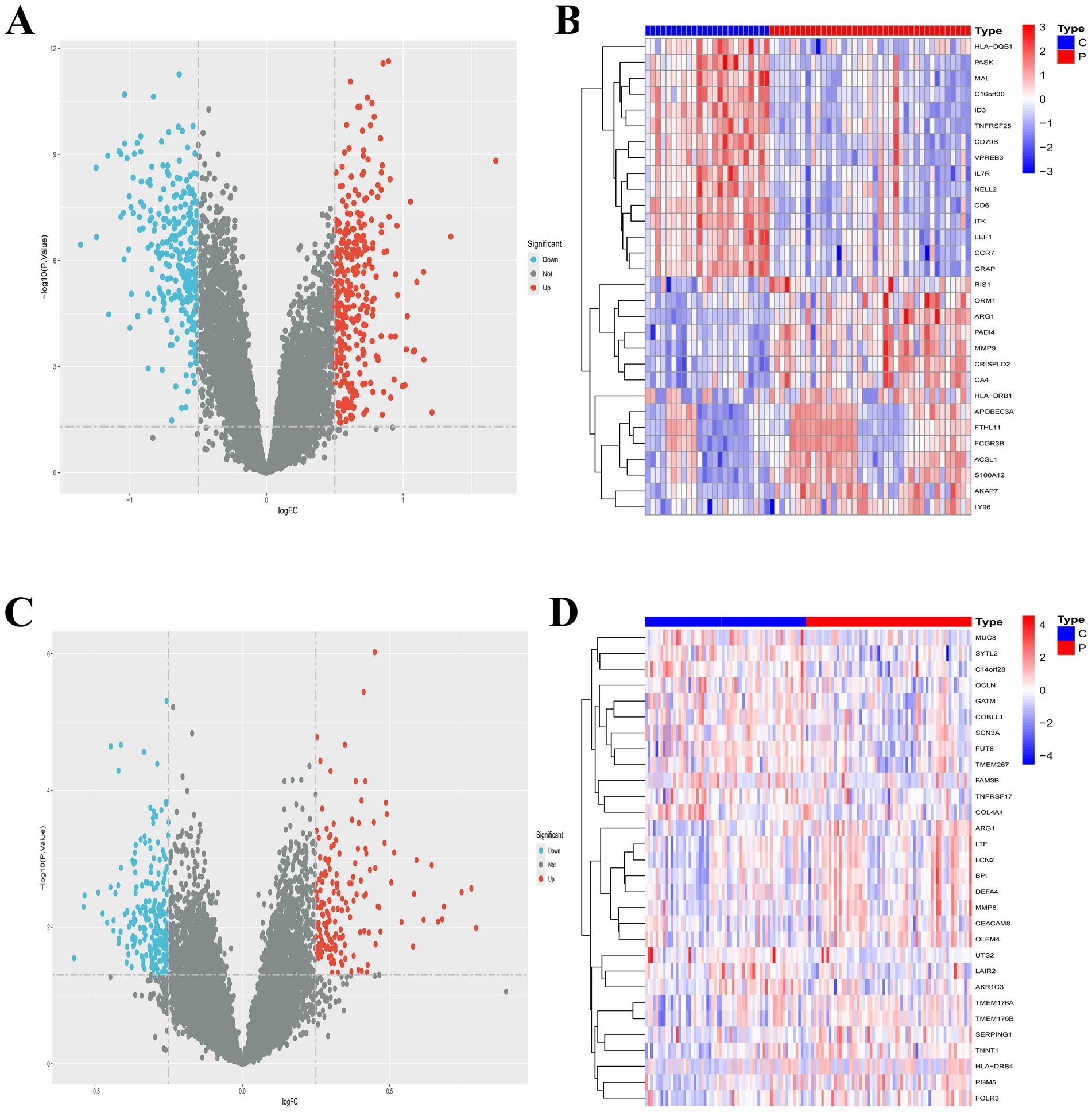 (A) and (C) show volcano plots with colored dots representing significant gene expression changes: red for upregulated, blue for downregulated. (B) and (D) display heatmaps showing gene expression patterns in different samples, with variations in expression levels indicated by a color gradient from blue to red.