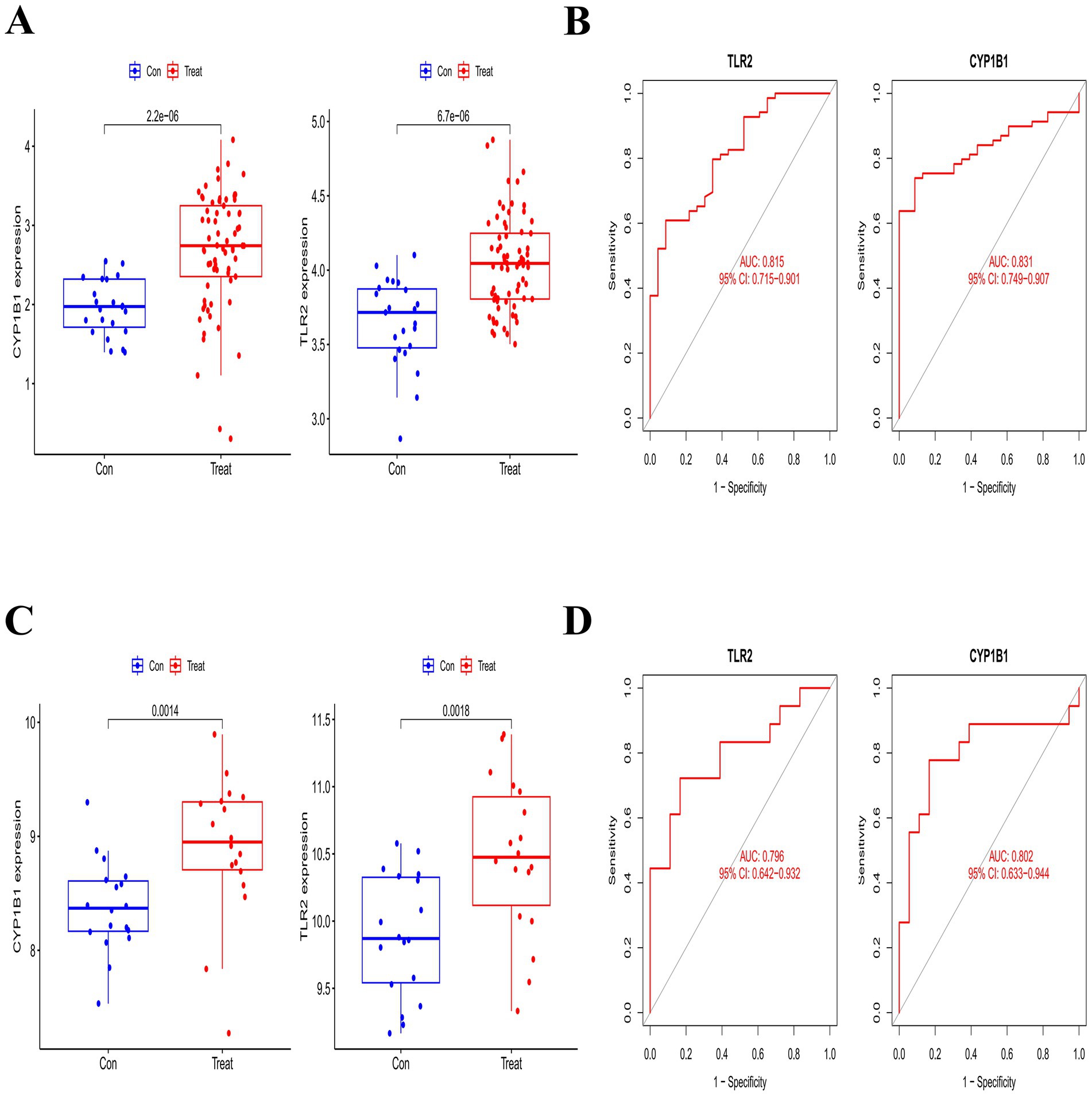 Graphs show expression levels and ROC curves for CYP1B1 and TLR2 genes. Panels A and C depict box plots comparing control and treatment groups, highlighting significant differences. Panels B and D present ROC curves evaluating the diagnostic accuracy of TLR2 and CYP1B1, with AUC values and confidence intervals.