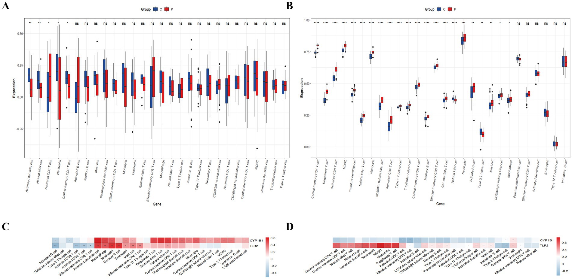 Box plots in panels A and B compare gene expression between groups C and P across multiple cell types. Panel A shows varied expression levels, with significance marked by symbols. Panel B highlights significant differences in T cell subsets. Heatmaps in panels C and D depict correlation levels of genes CYP1B1 and TLR2 with different cell types, using a color gradient where red and blue indicate positive and negative correlations, respectively.