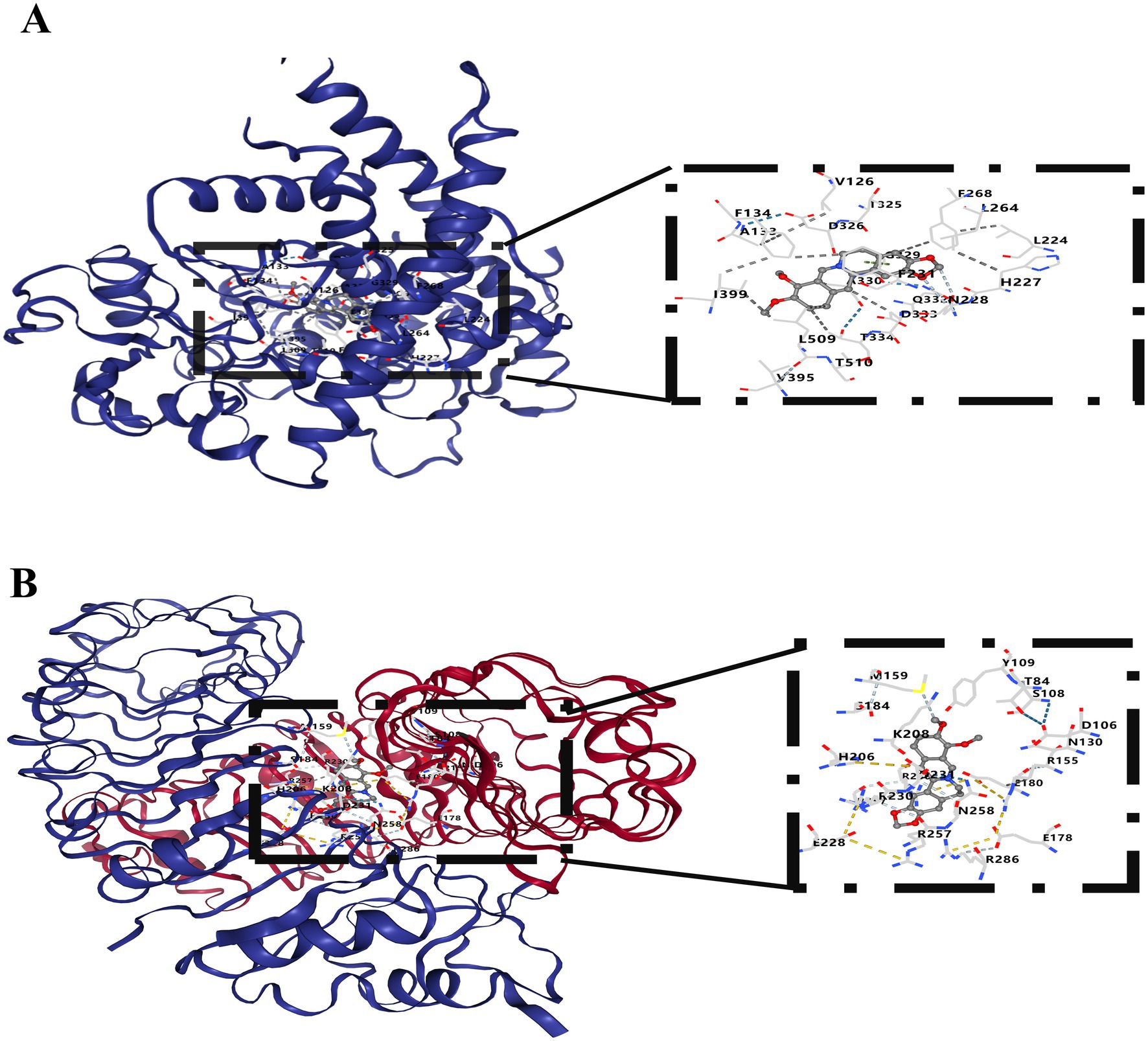 Side-by-side molecular structures labeled
