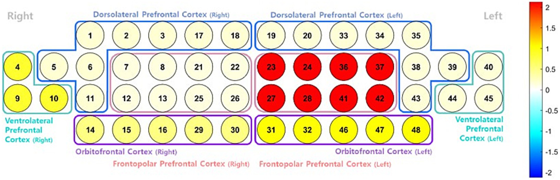 Diagram of the prefrontal cortex regions, highlighting dorsolateral, ventrolateral, orbitofrontal, and frontopolar cortices. Circles are numbered and color-coded from light yellow to red, indicating varying values. A color scale from blue to red appears on the right, ranging from negative two to positive two.