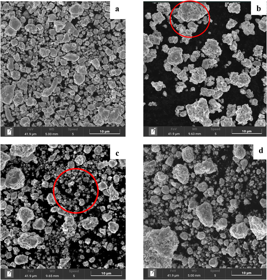 Four scanning electron microscope images labeled a, b, c, and d, show clusters of irregularly shaped particles. Images b and c have red circles highlighting specific areas. The scale bars indicate 10 micrometers.