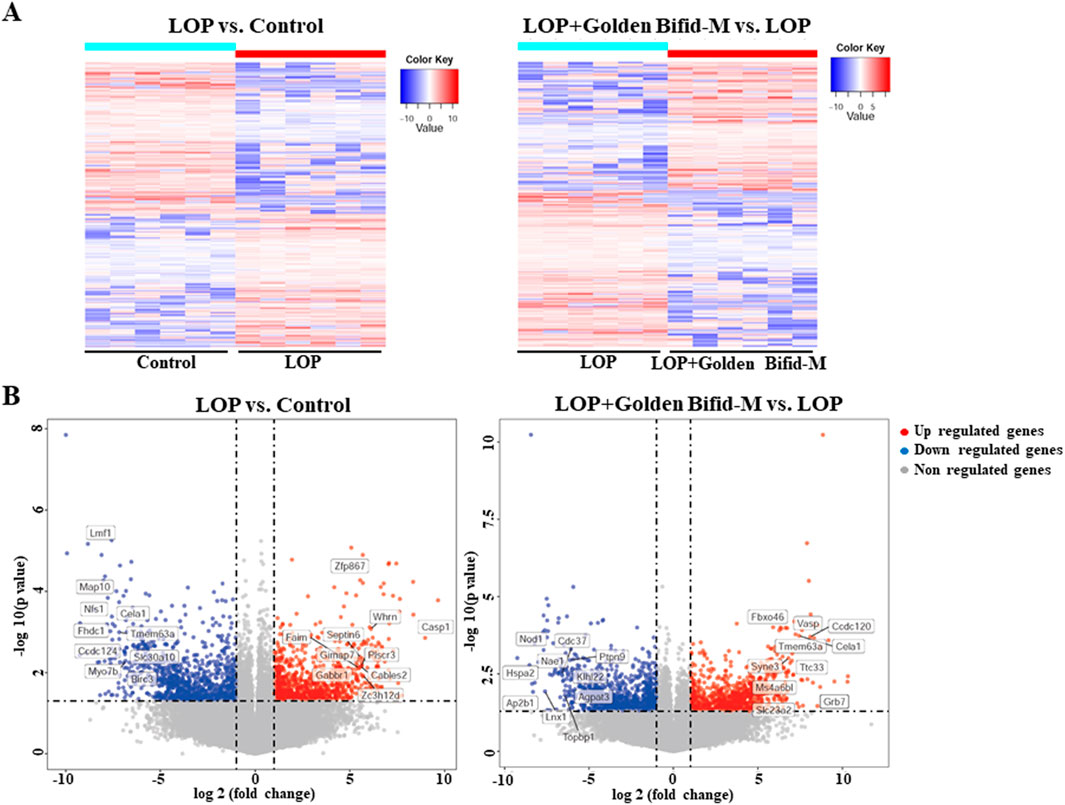 Two figures display gene expression analysis. Figure A shows two heatmaps: